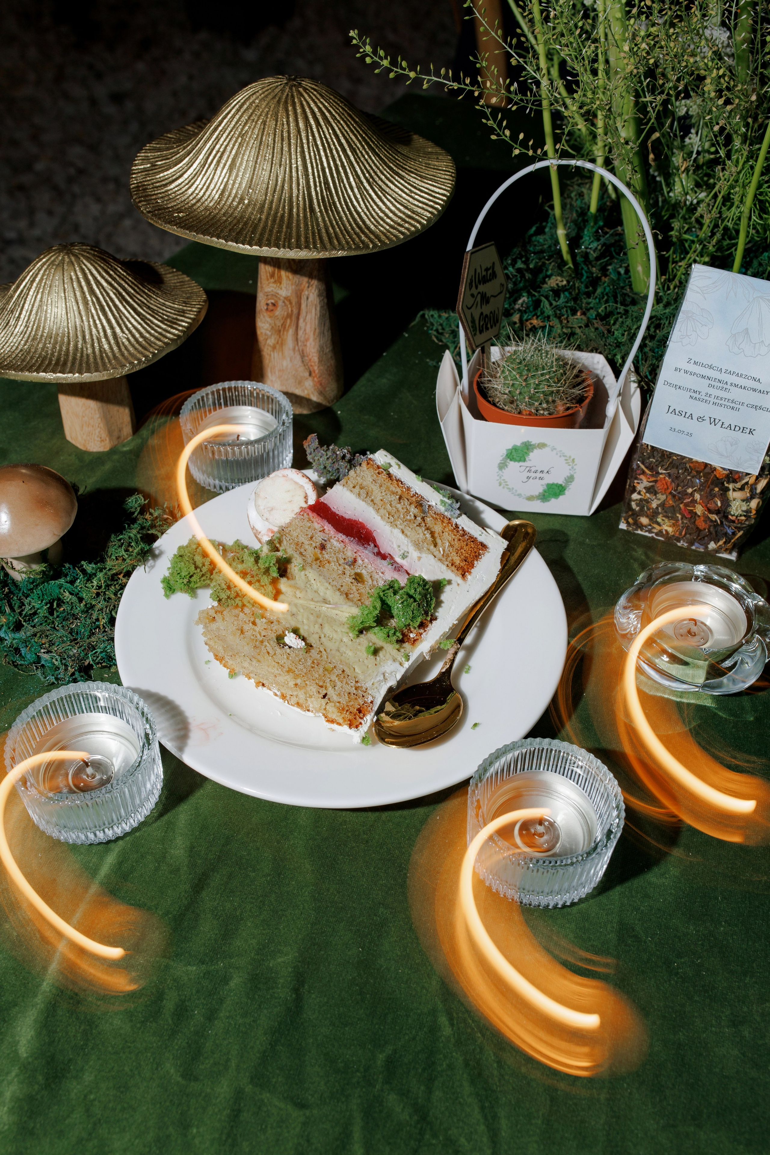 Janina & Wladek. Dworzyszcze Wola. 23.07.2025. Fotograf ślubny i rodzinny w Krakowie Yana Klymova