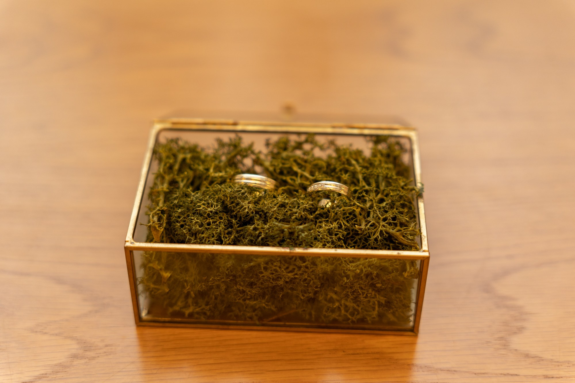 Aleksandra&Martin. RODINNÁ FOTOGRAFKA LABYK KATERYNA