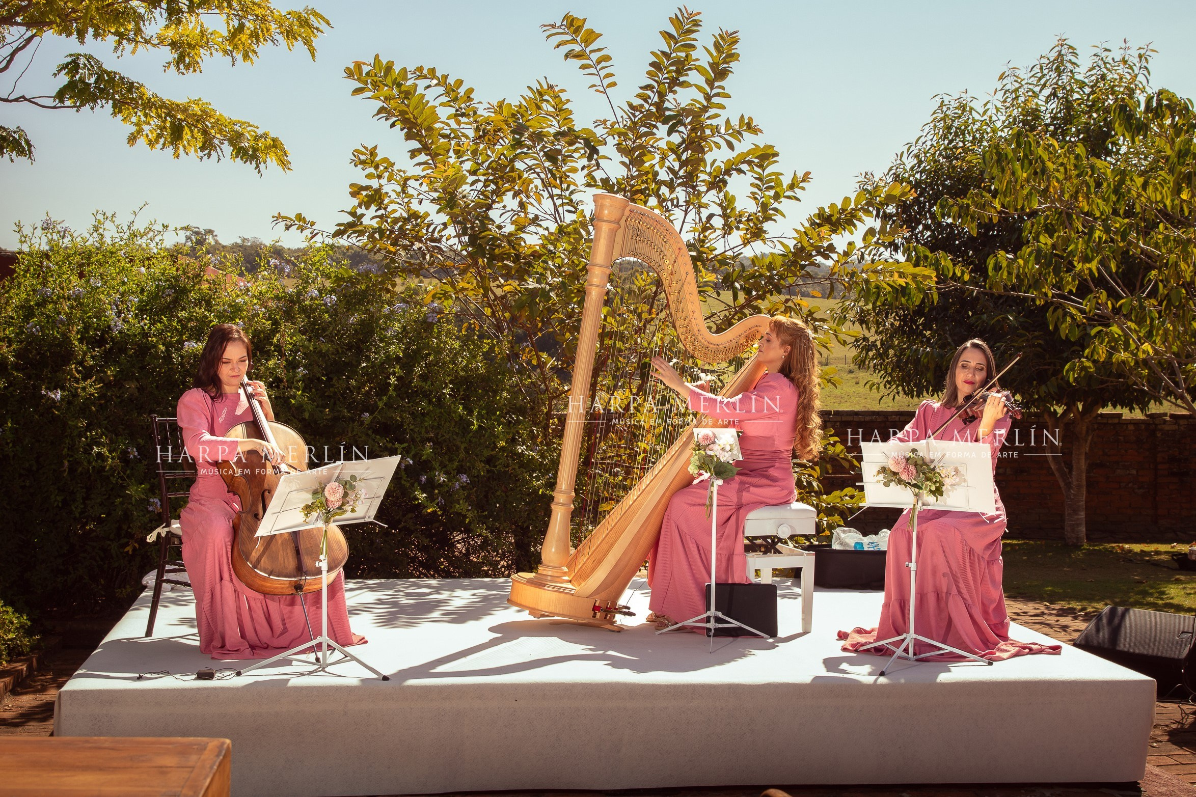 Fotografia de Evento em São Paulo | Cidade de São Paulo. Fotógrafa em são paulo — Fotos Autênticas