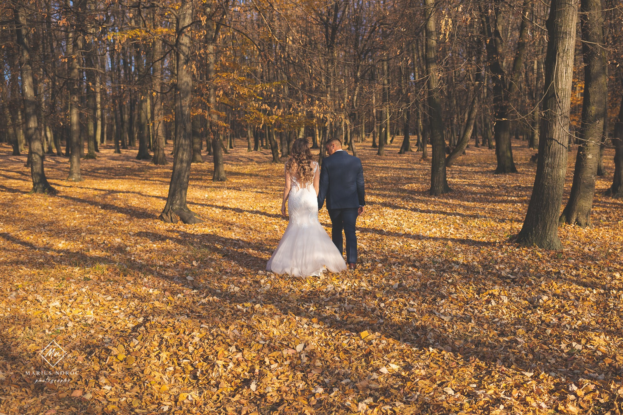 Alexandra & Alin | Padurea Bucium Iasi