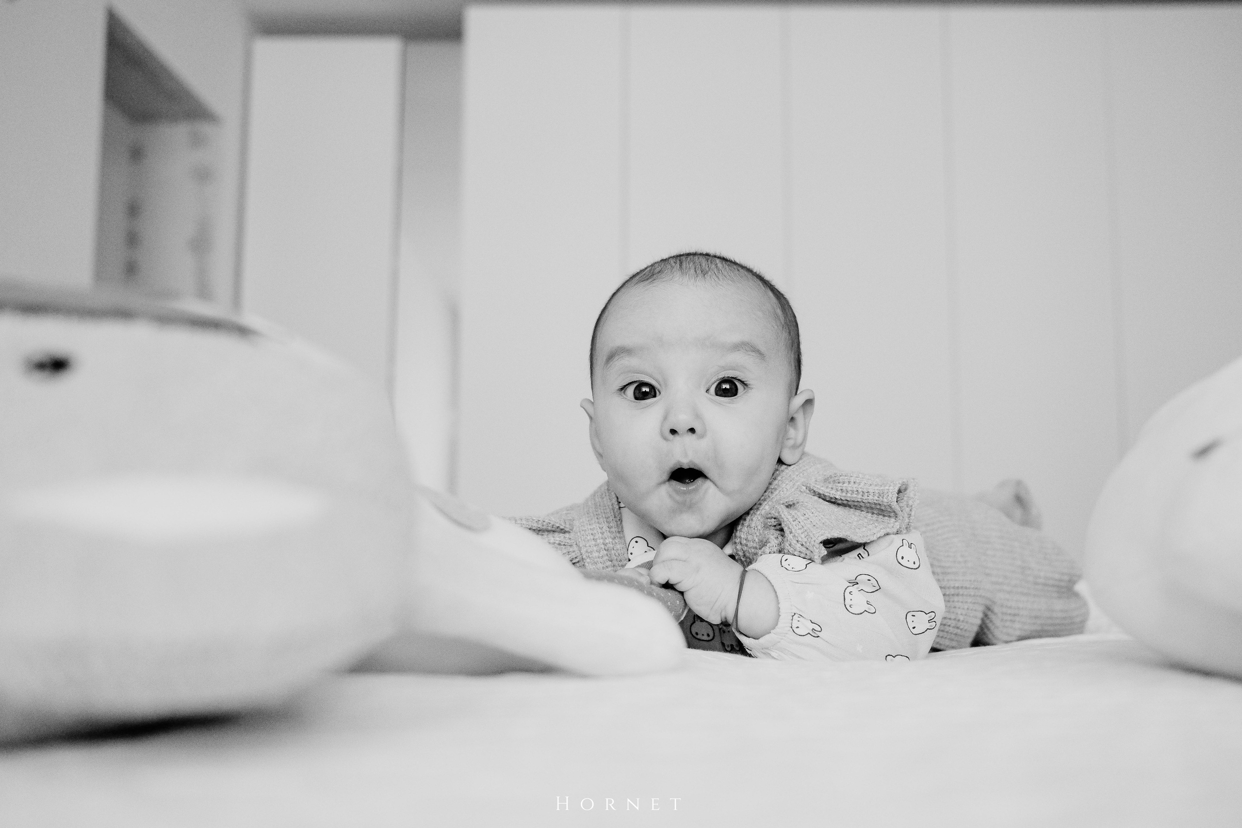 Amelia. Hornetart