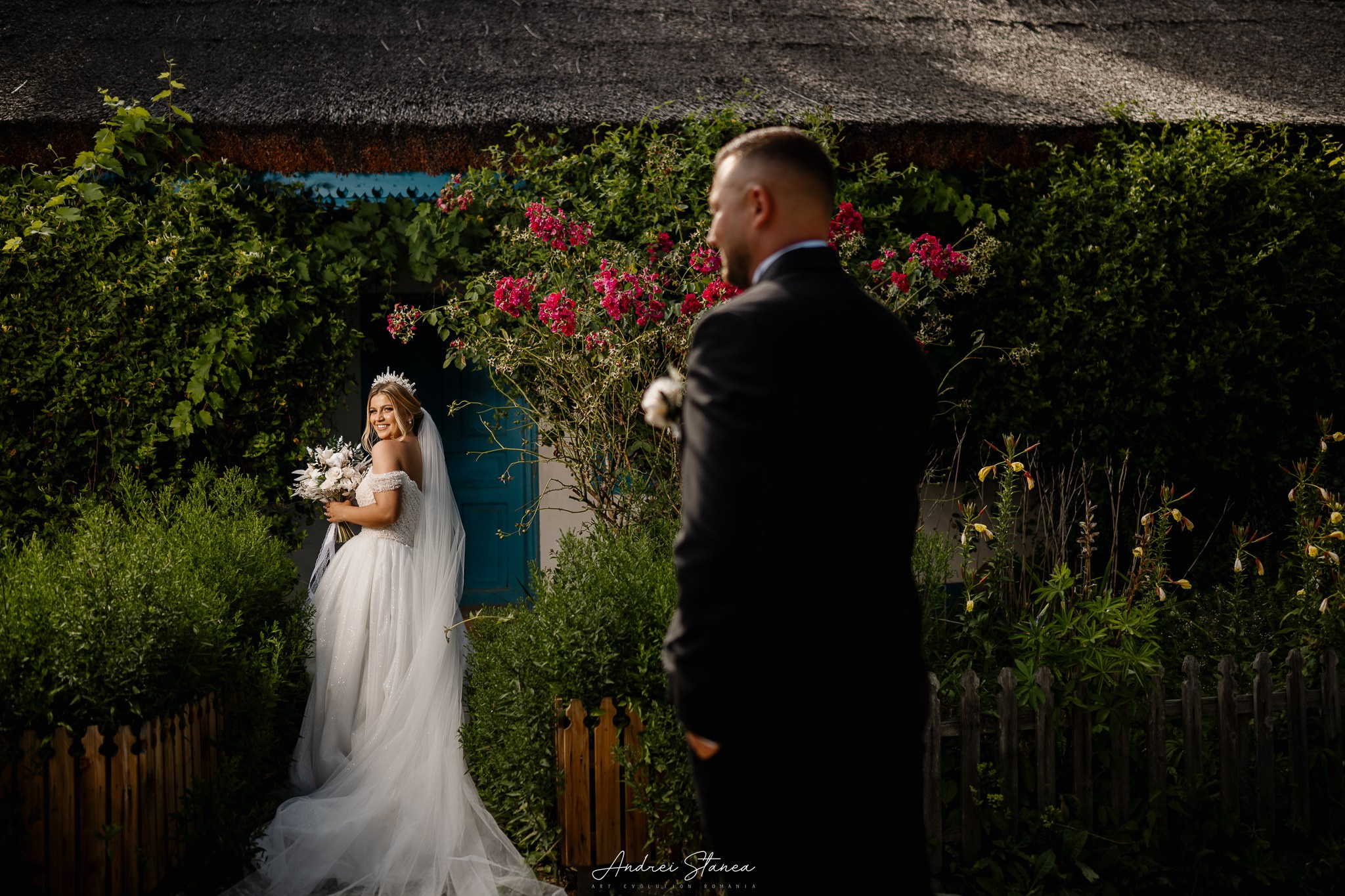 Portofolio. Andrei Stanea