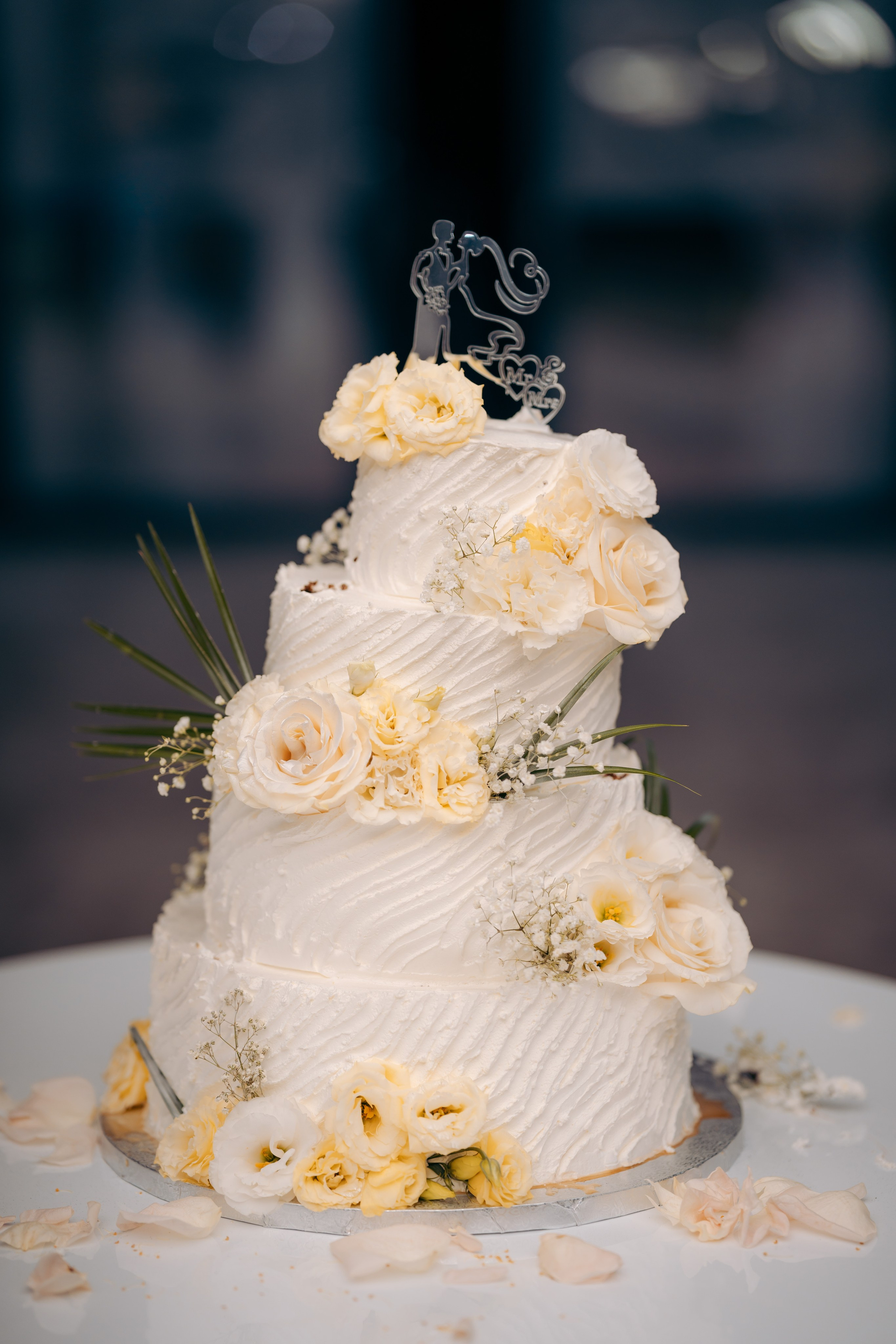 Bianca & Robert. CC Photography \ Fotograf Profesionist \ Evenimente