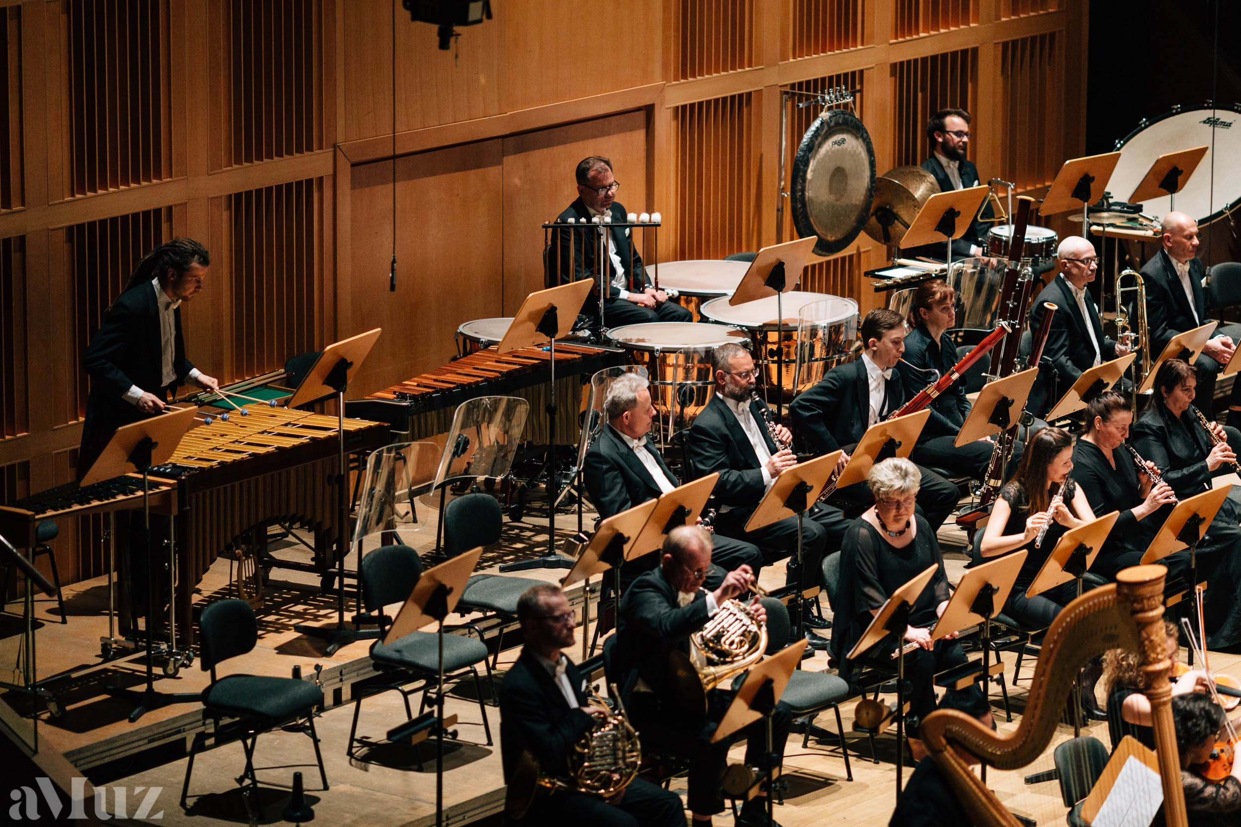 Filharmonia Bałtycka. Fotograf Ślubny Warszawa - Sesje Biznesowe Rodzinne Eventy