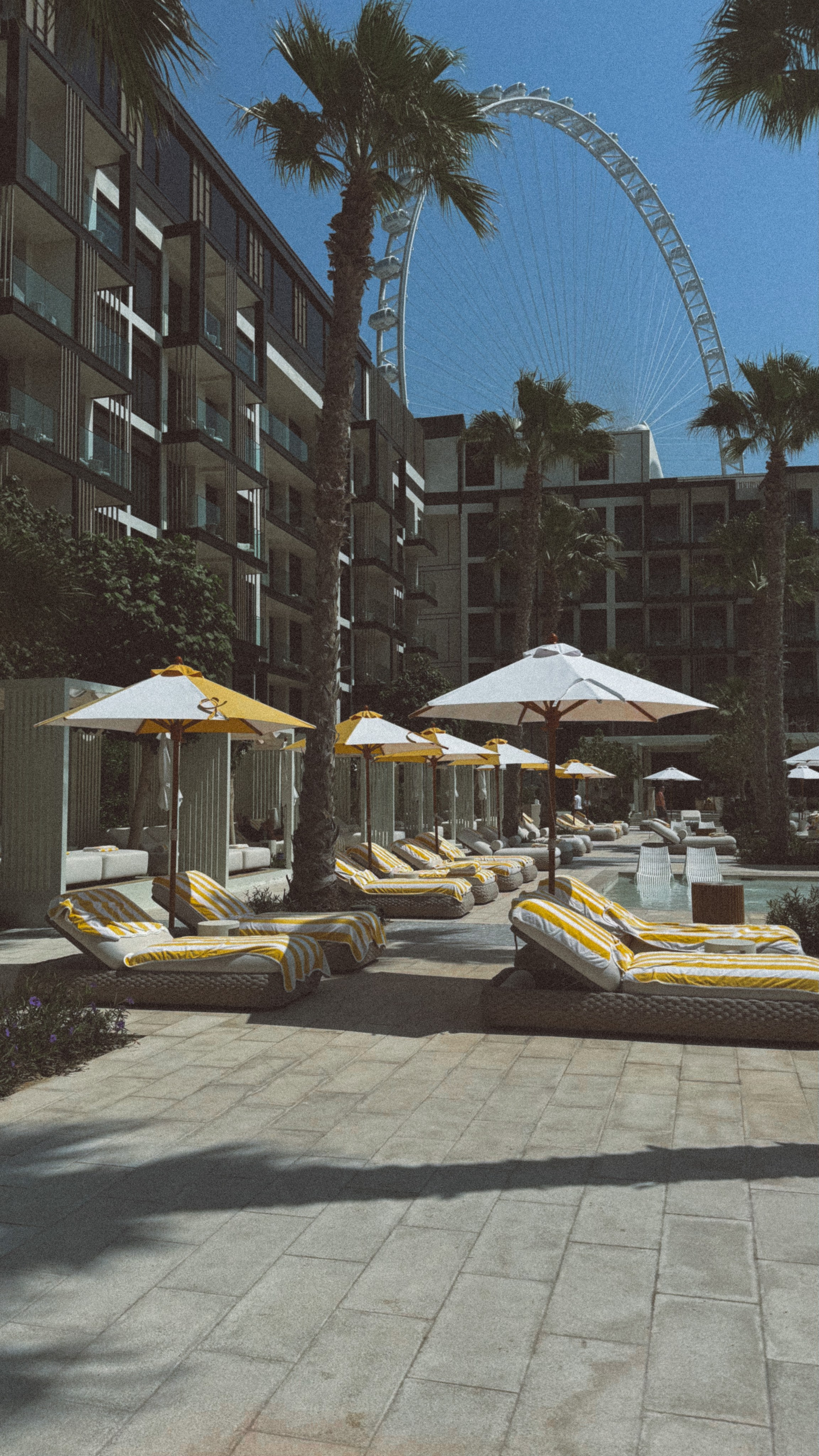 Delano Dubai. Professional photographer and videographer specializing in filming hot