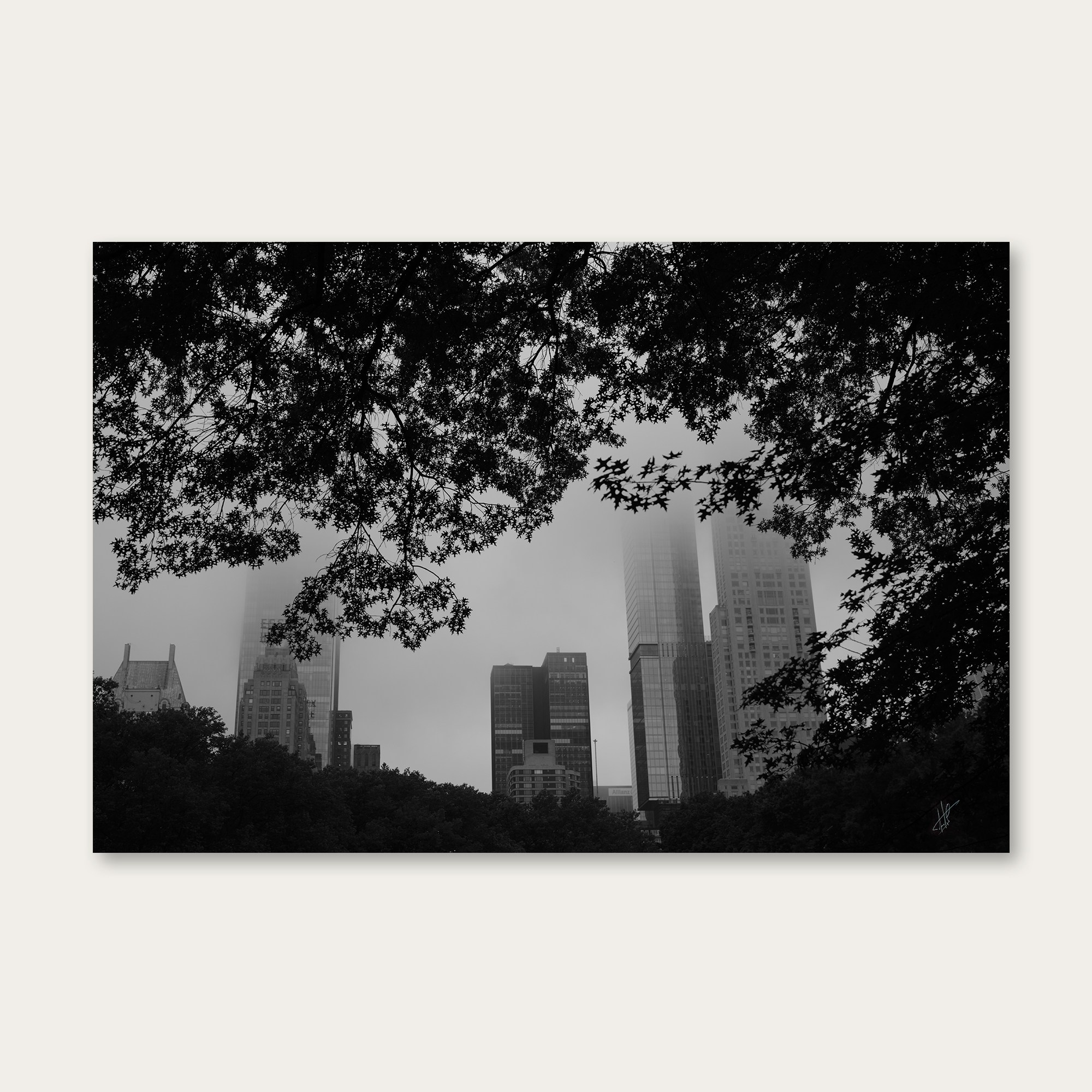 NYC, Central Park, 2025. Fuad Shafiyev