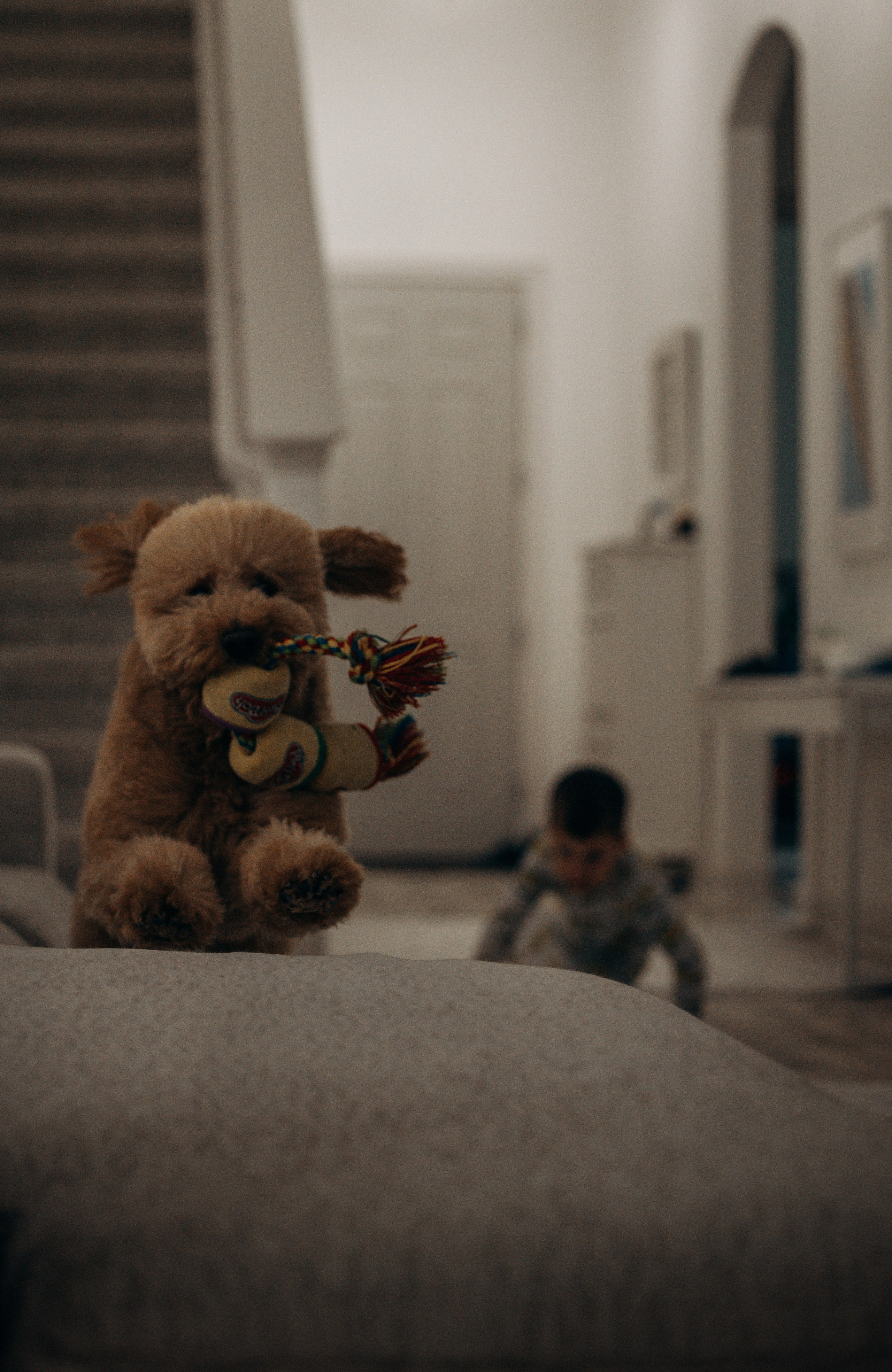 Richie & his Family. Pet Photographer Viktoriya Aleshenko