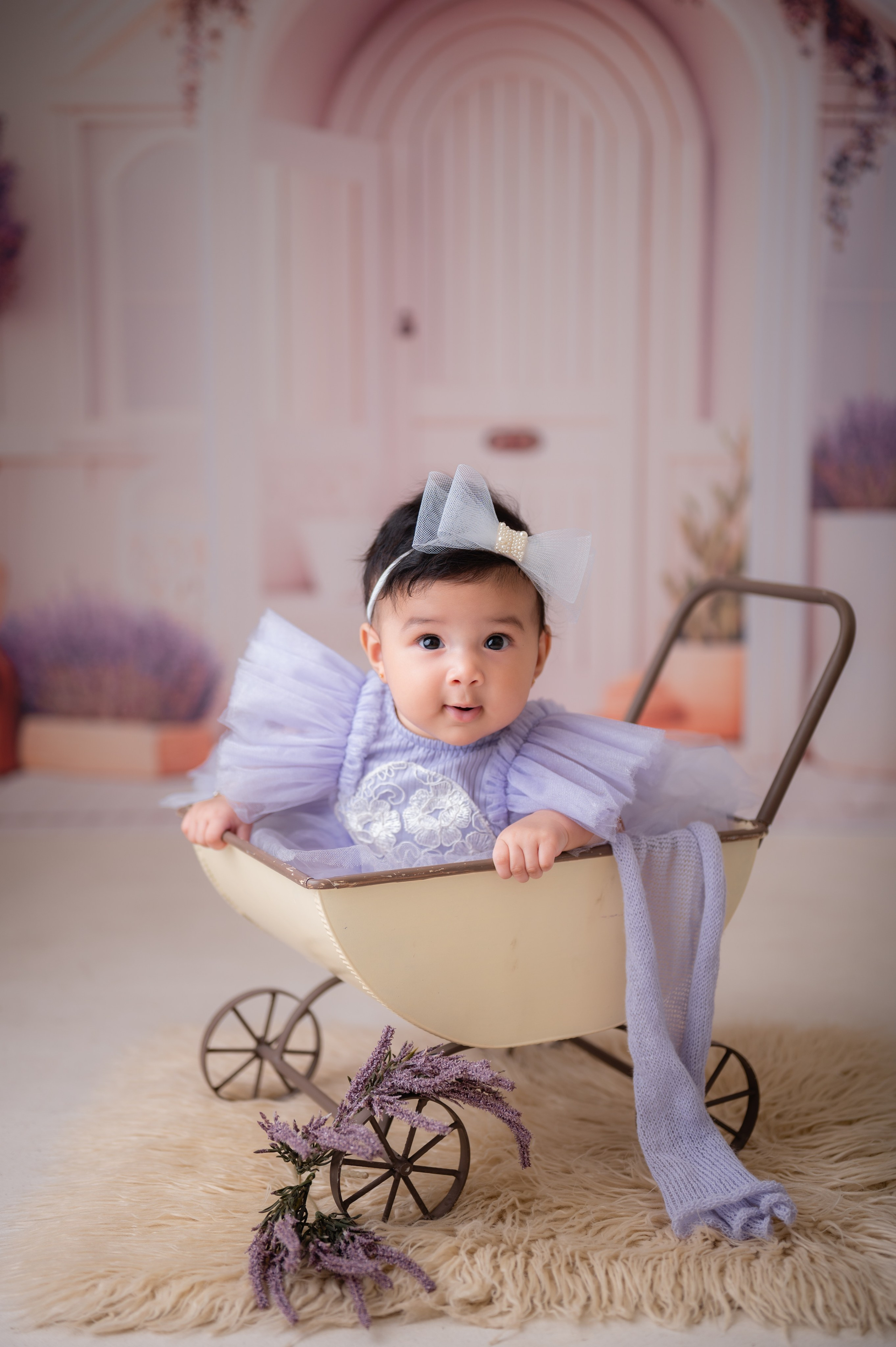 Acompanhamentos. Fotografamos famílias, gestantes, bebês e ensaios individuais