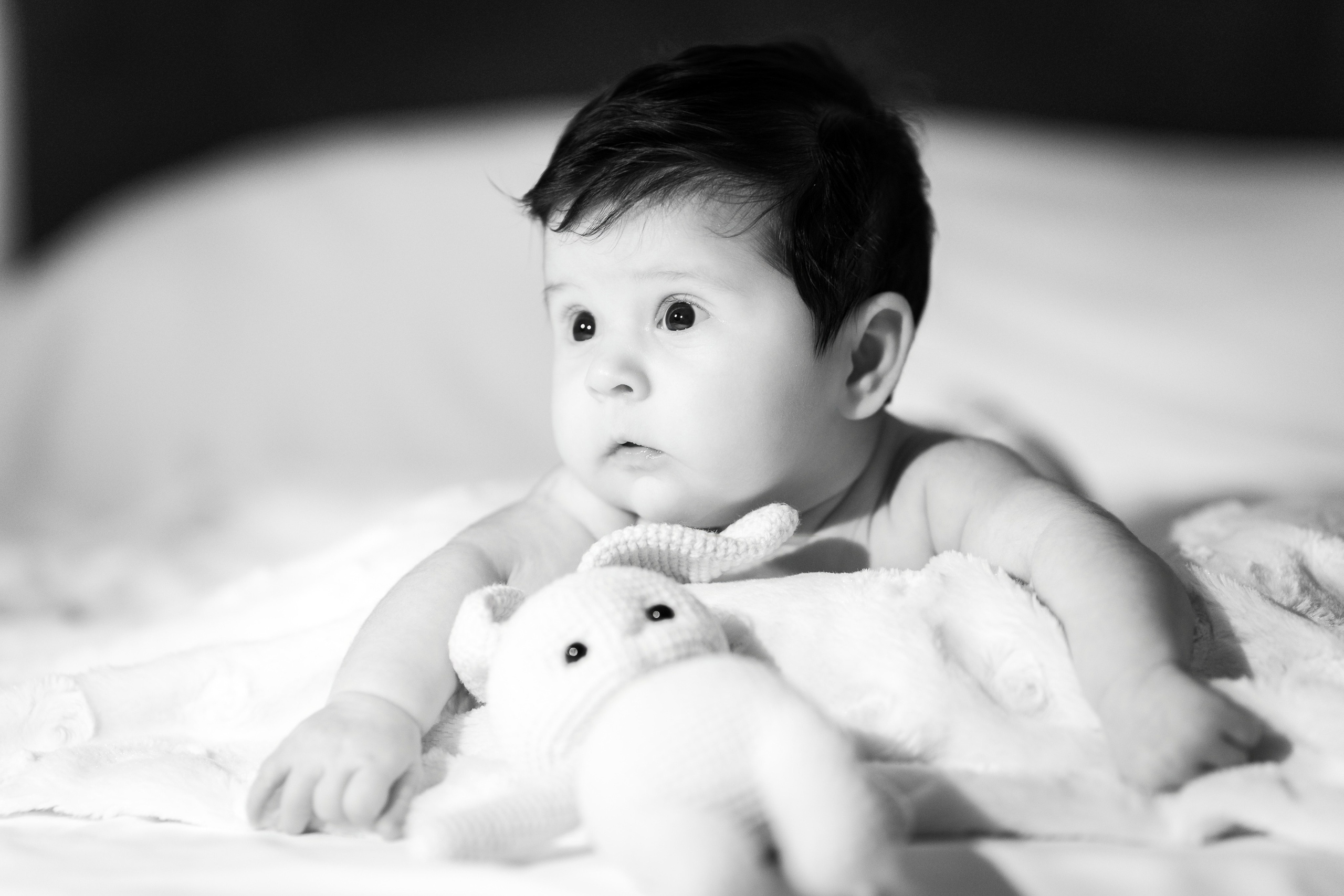 Amalia Gabriela. Fotograf de evenimente, nunta, botez, portrete - FotoStudio