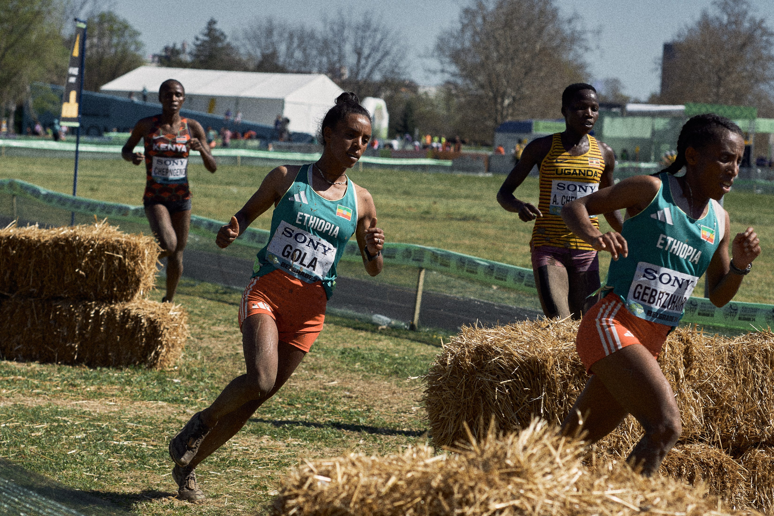 Cross Country Championship 2024 #running. Photographer Evgeniya Dovgalyuk