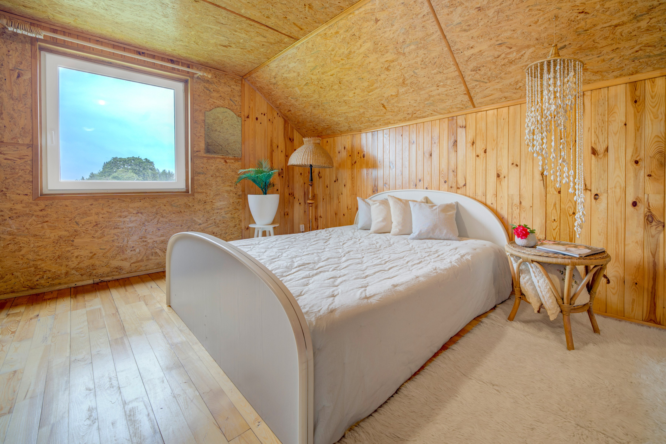 Varėnos raj. Elina Sapiega fotografė Vilniuje