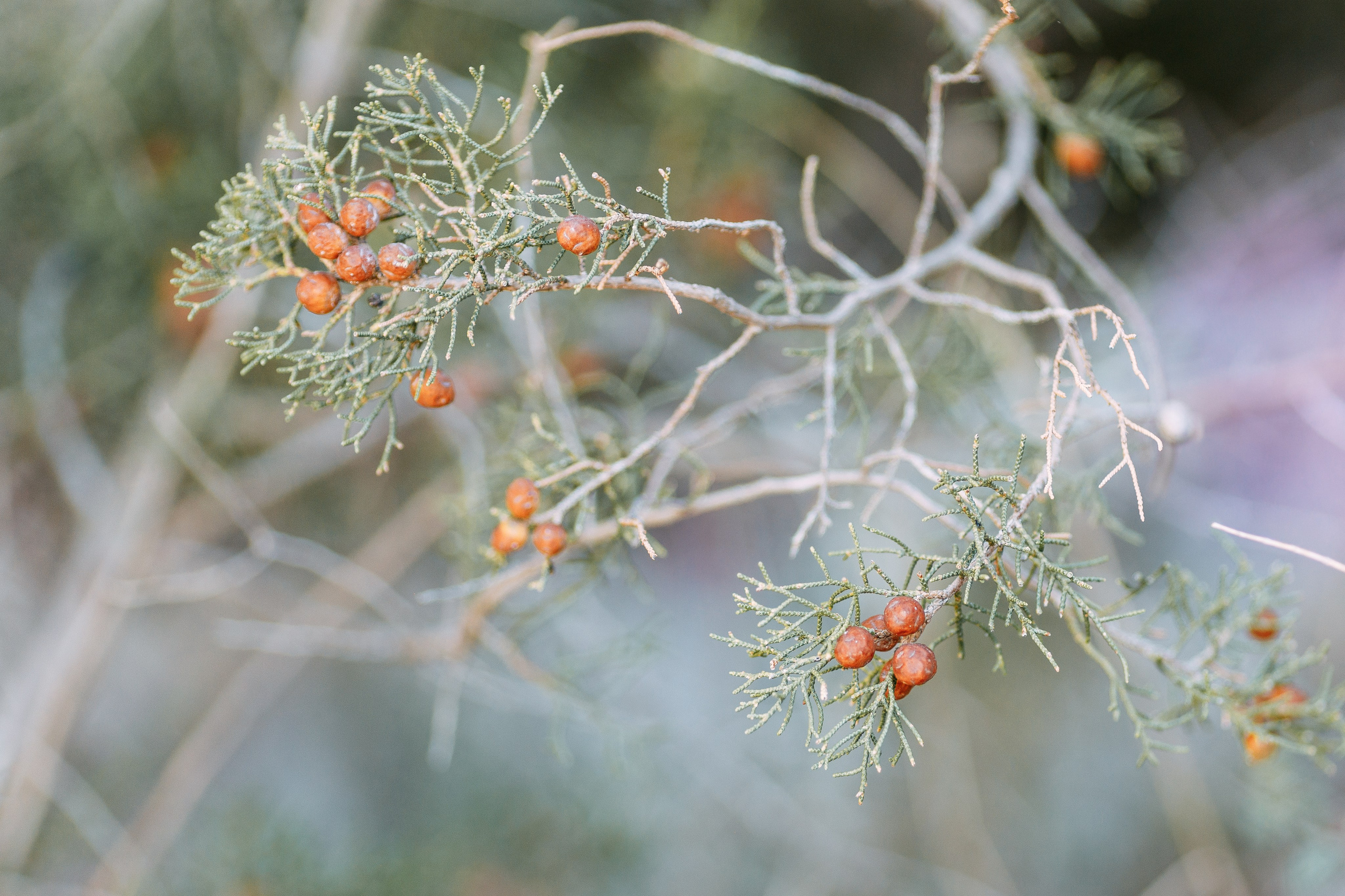 Love Kroatien. Professionele fotografin in Münsingen Olesia Wegele