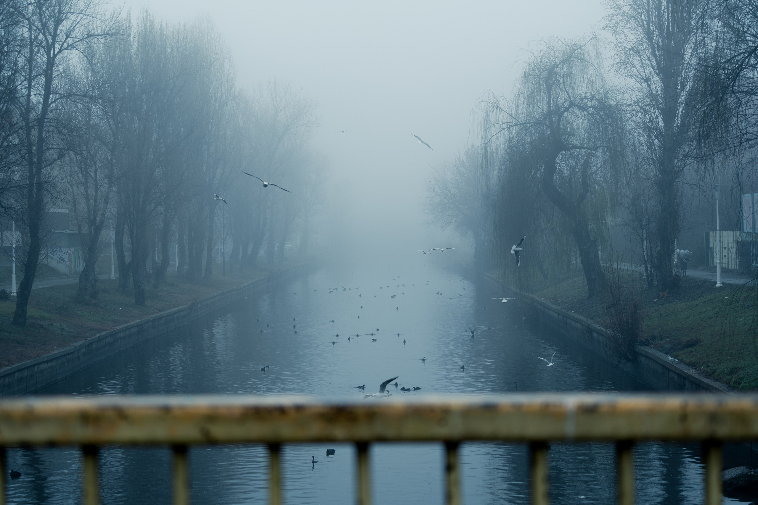 O dimineață cețoasă