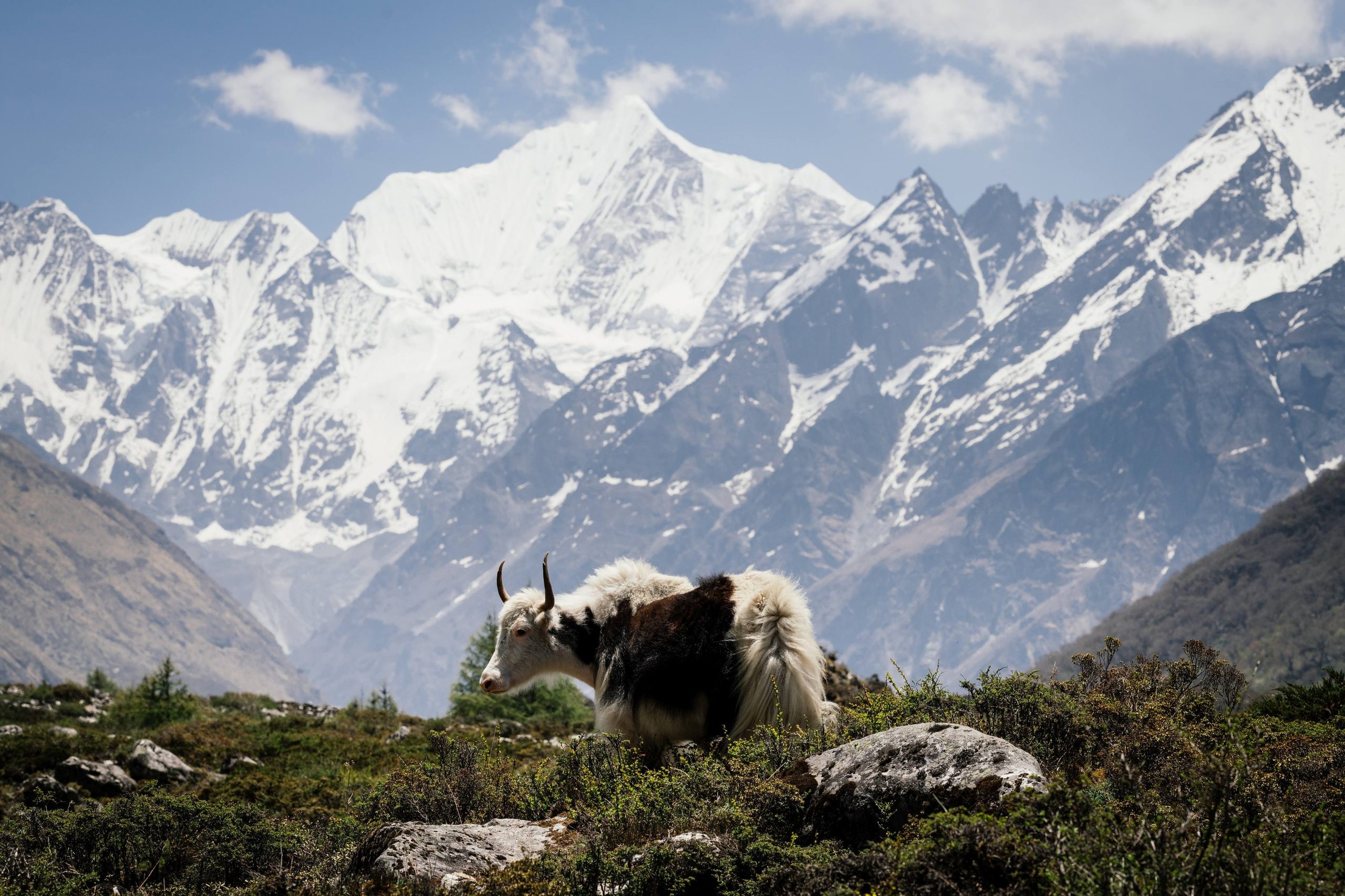 Nepal. Artjom Kutuzov Photography