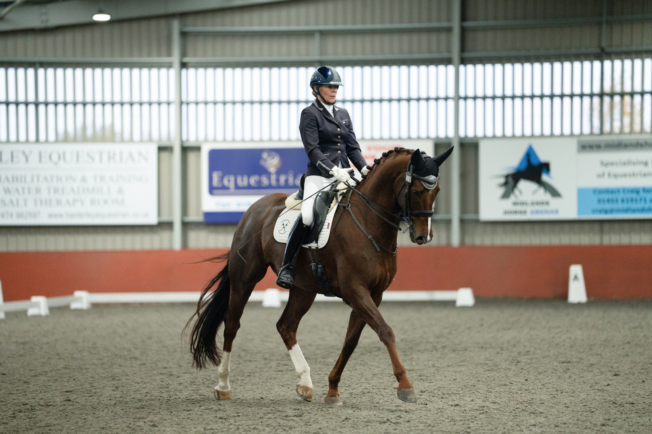 Dressage. Leicestershire Equine Photography by El | Authentic Equine Portraits & Events