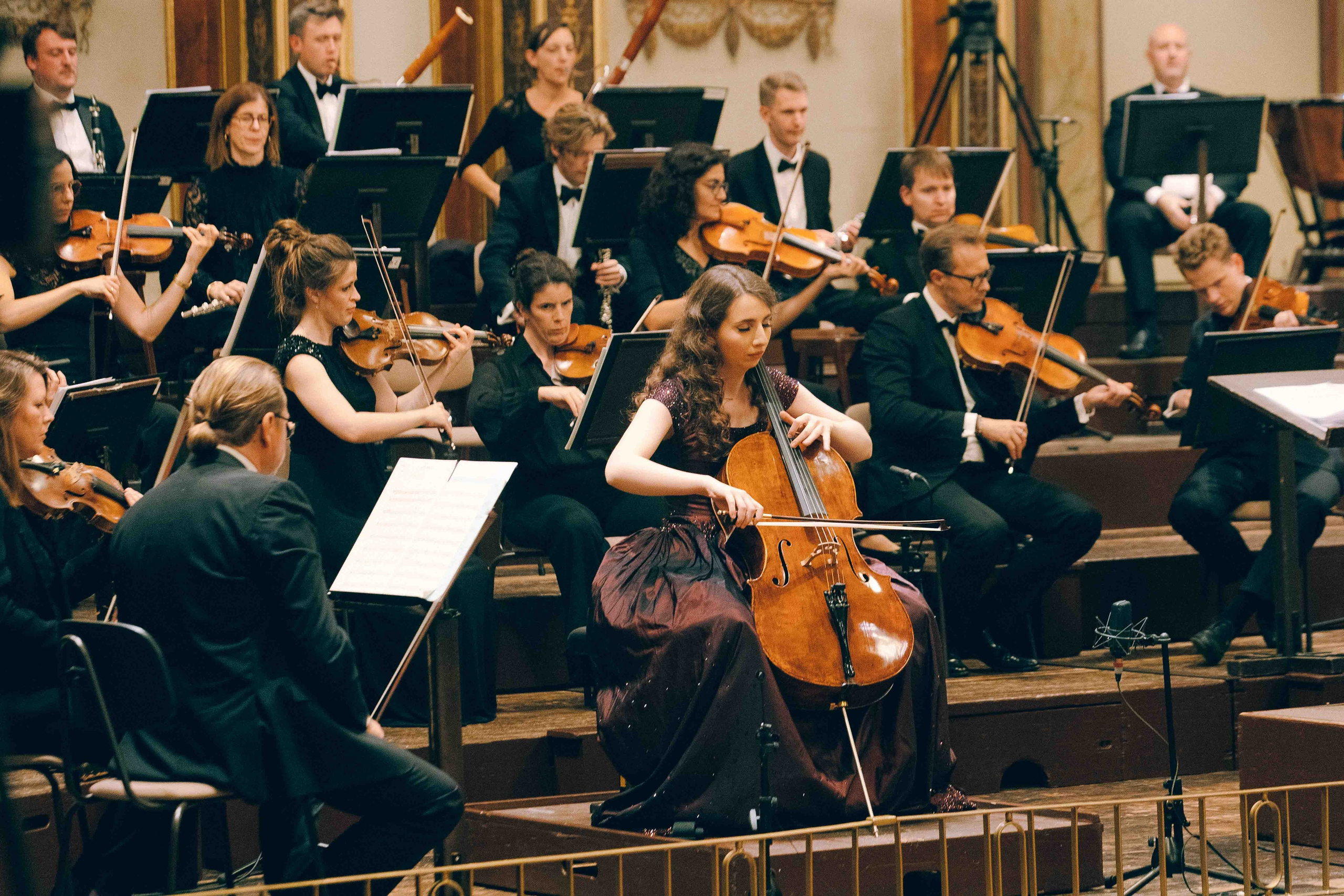 MUSIKVEREIN (VIENNA). Wedding&Event photographer Ismail Rzayev in Baku