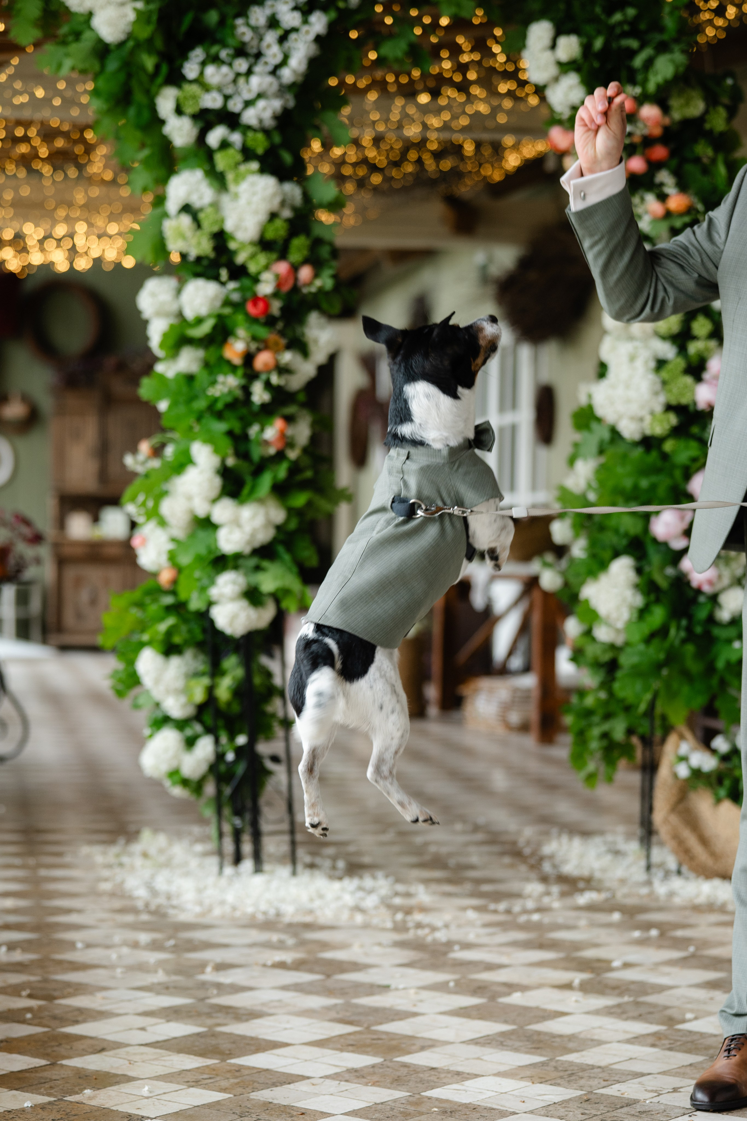Mona + Vlad | Valea Sanzienelor. Proud Vision Weddings | Wedding Photography & Films — Servicii profesionale Foto Video Nunta Iasi