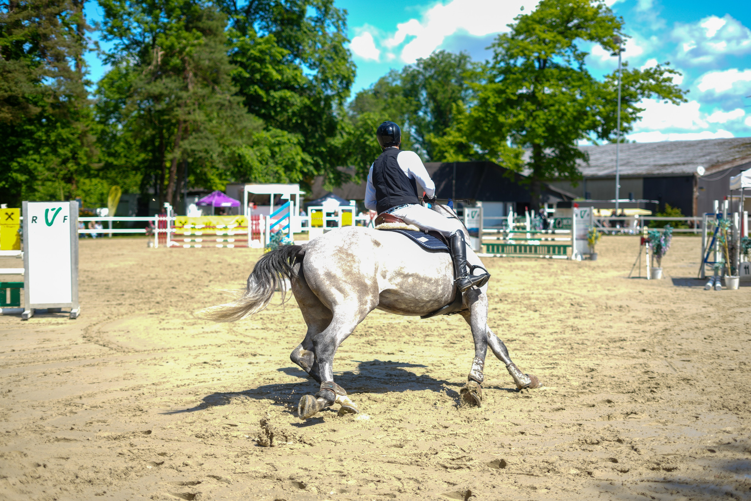 Equestrian Competition