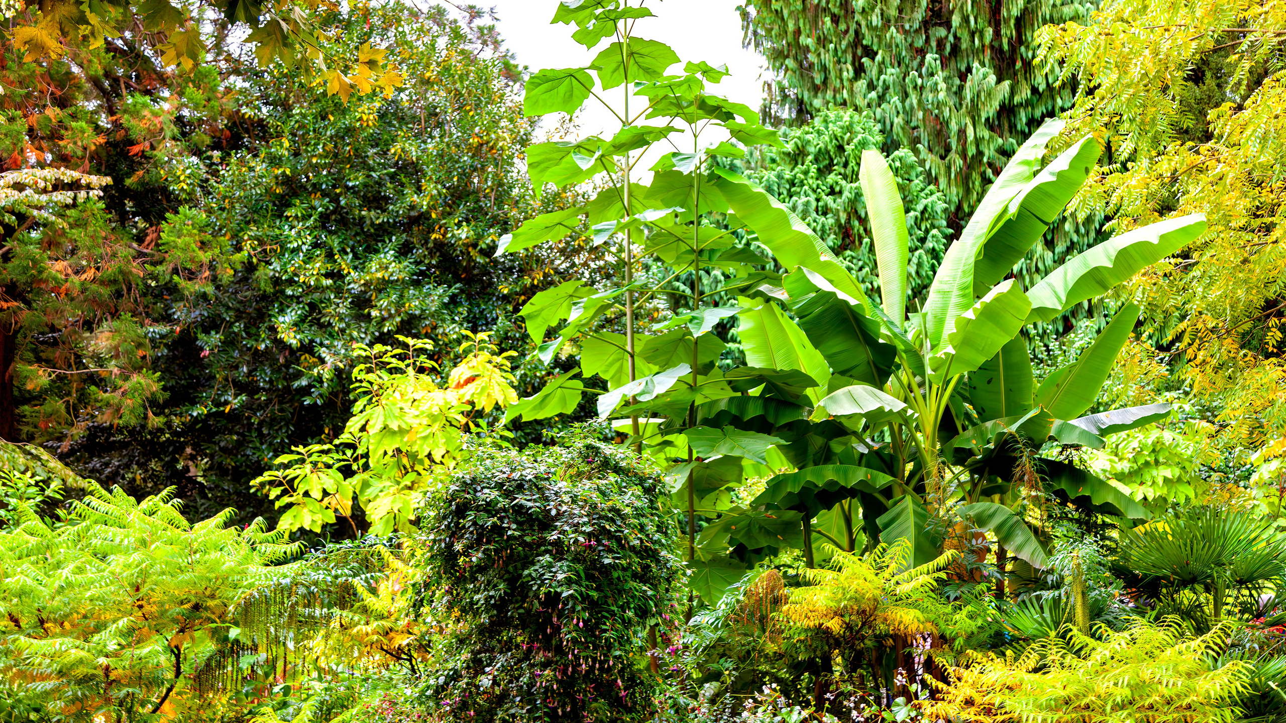 187.Mainau.Germany.24.9.2024. Путешествия в формате 360......