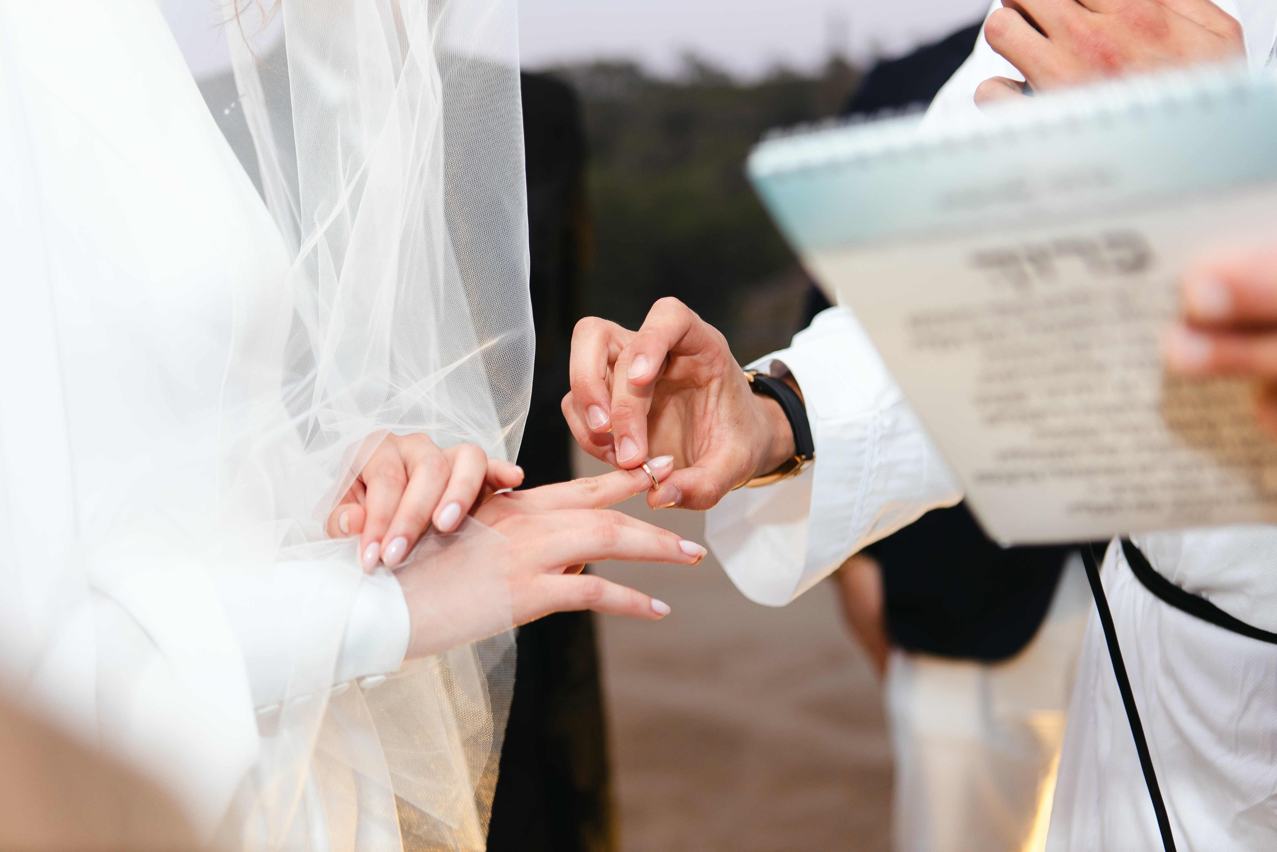 Our Sweetest Day. Https://shi-photo.com/