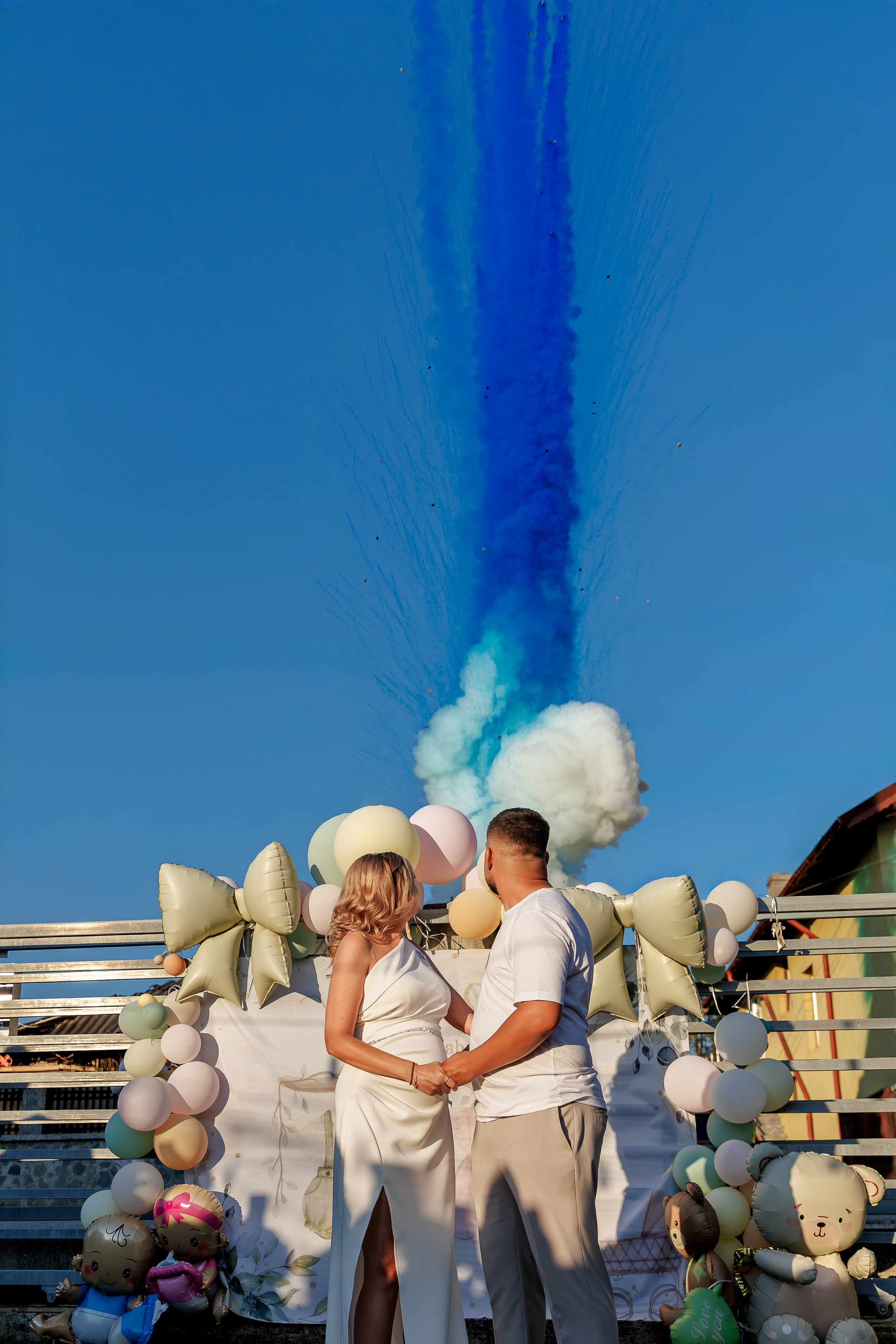 Luiza & Sebi - Civil Wedding - Argeș. Fotograf Profesionist Pitesti-Bucuresti| Mircea Seinea