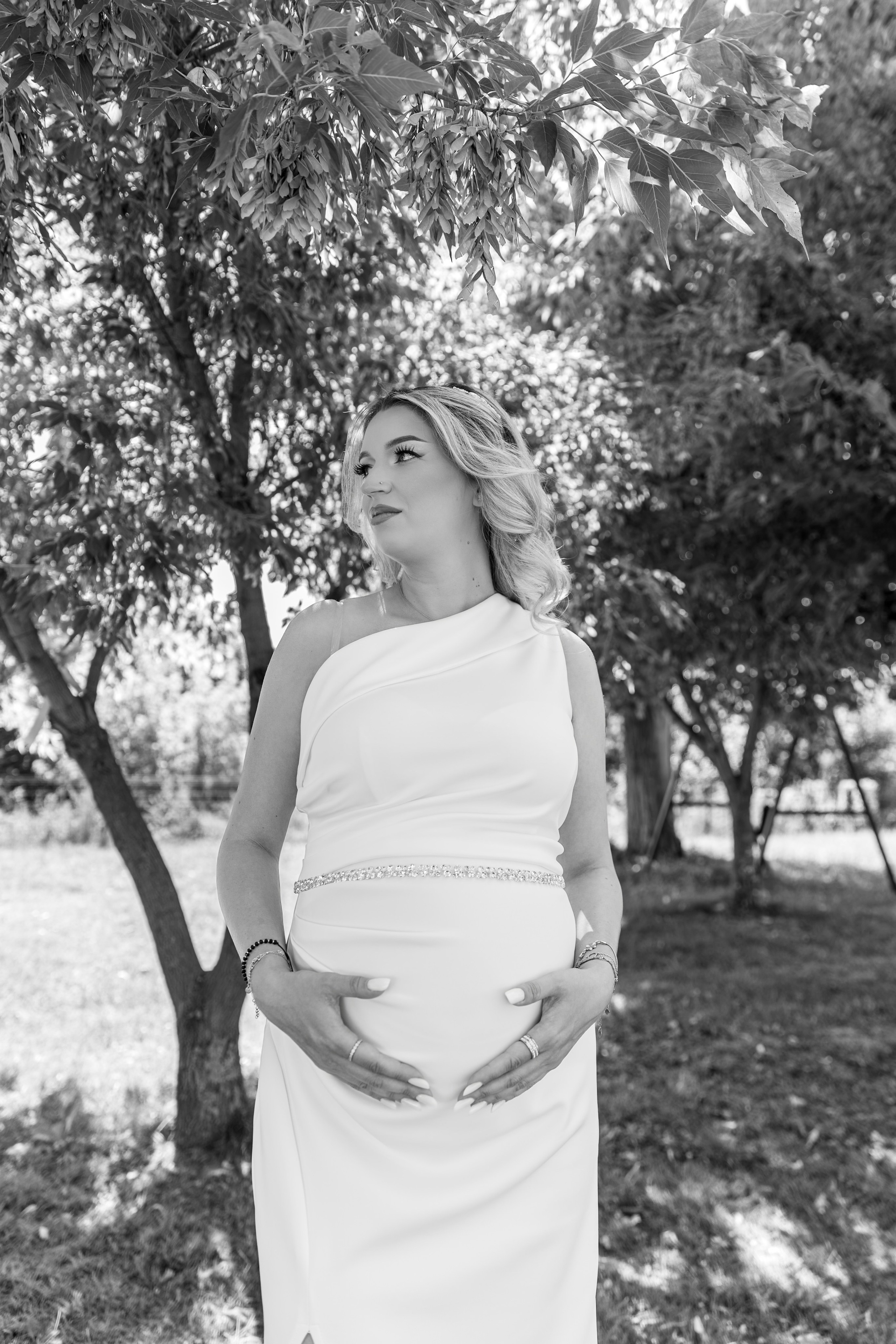 Luiza & Sebi - Civil Wedding - Argeș. Fotograf Profesionist Pitesti-Bucuresti| Mircea Seinea