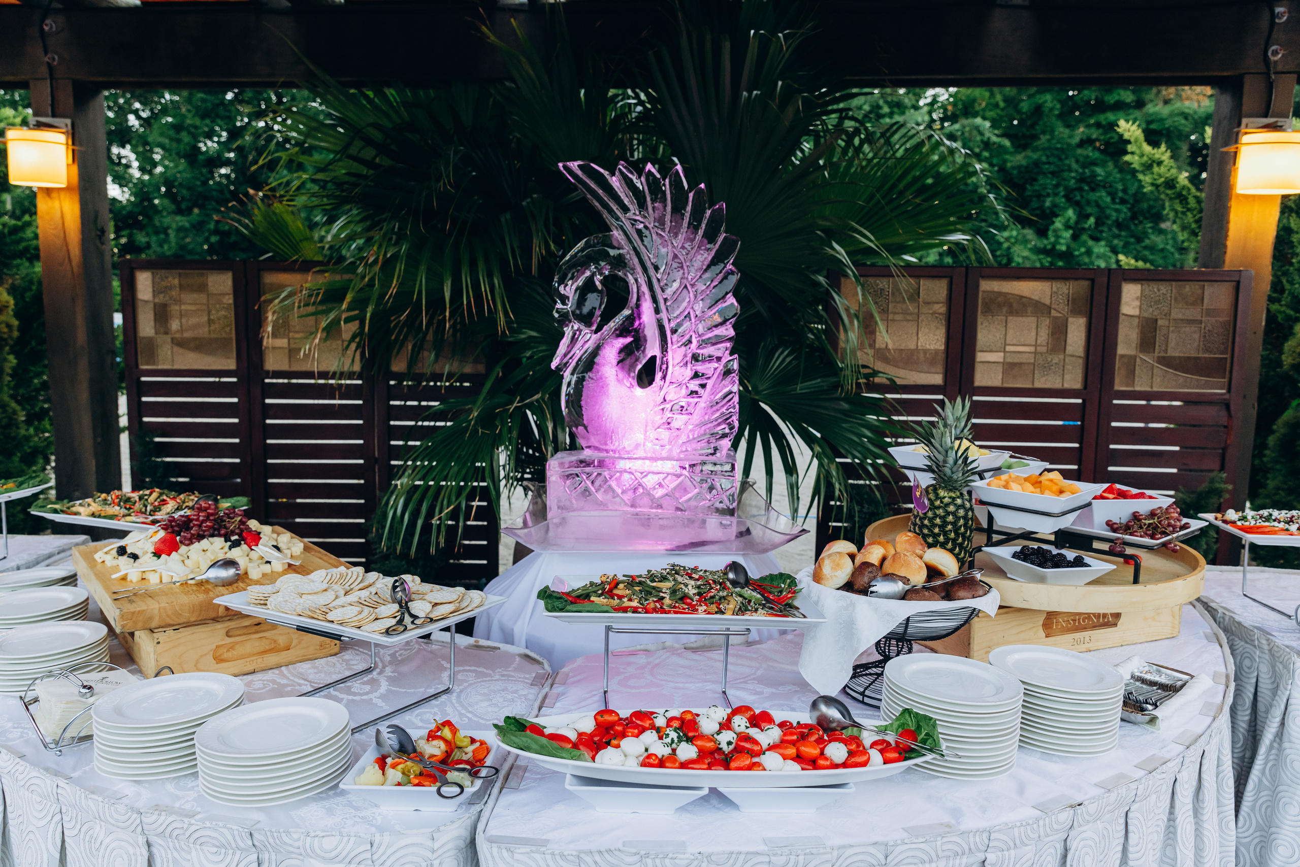 ROHAN & NIKITA RECEPTION. Pittsburgh wedding and family photographer