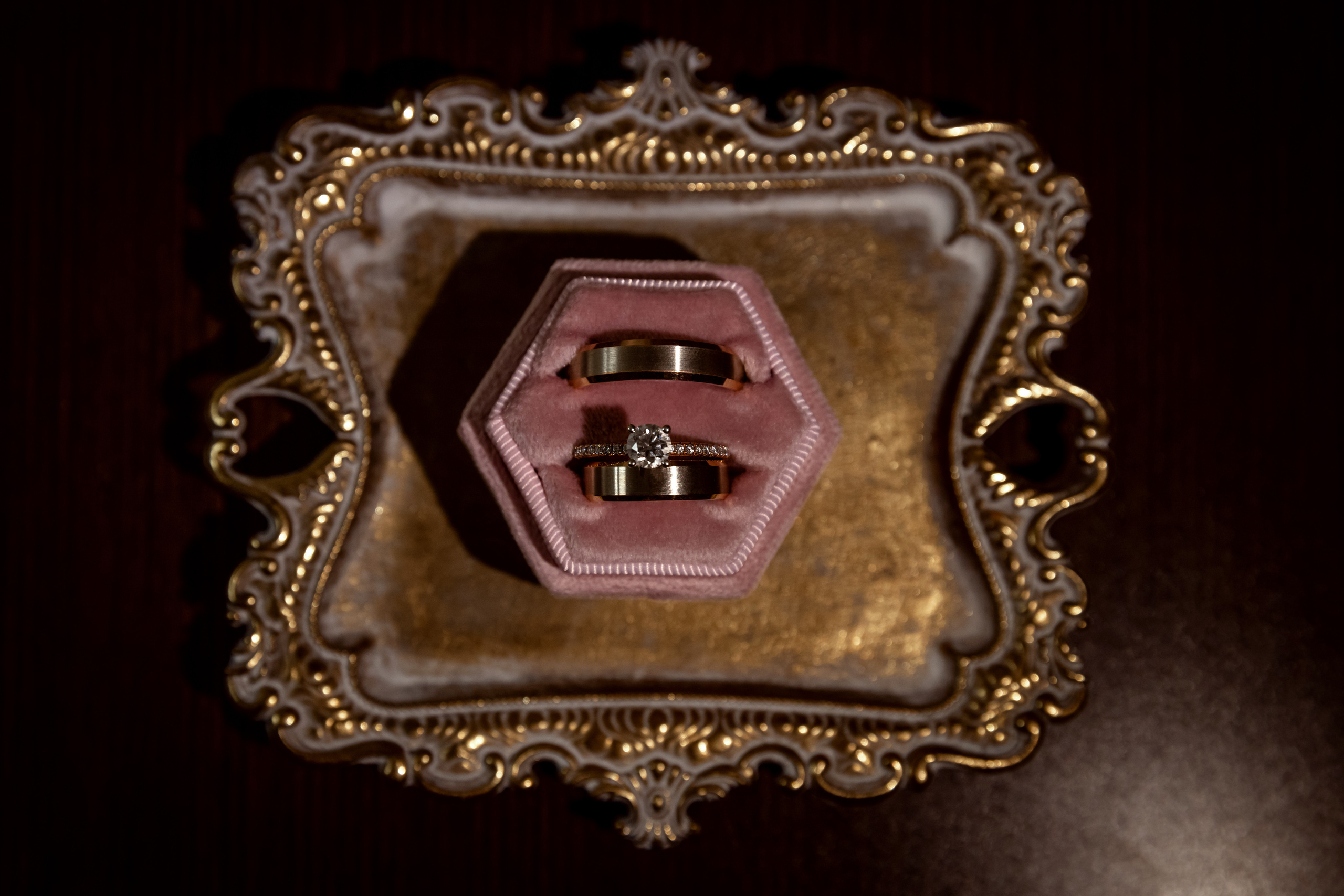 OLGA & VADYM. Pittsburgh wedding and family photographer