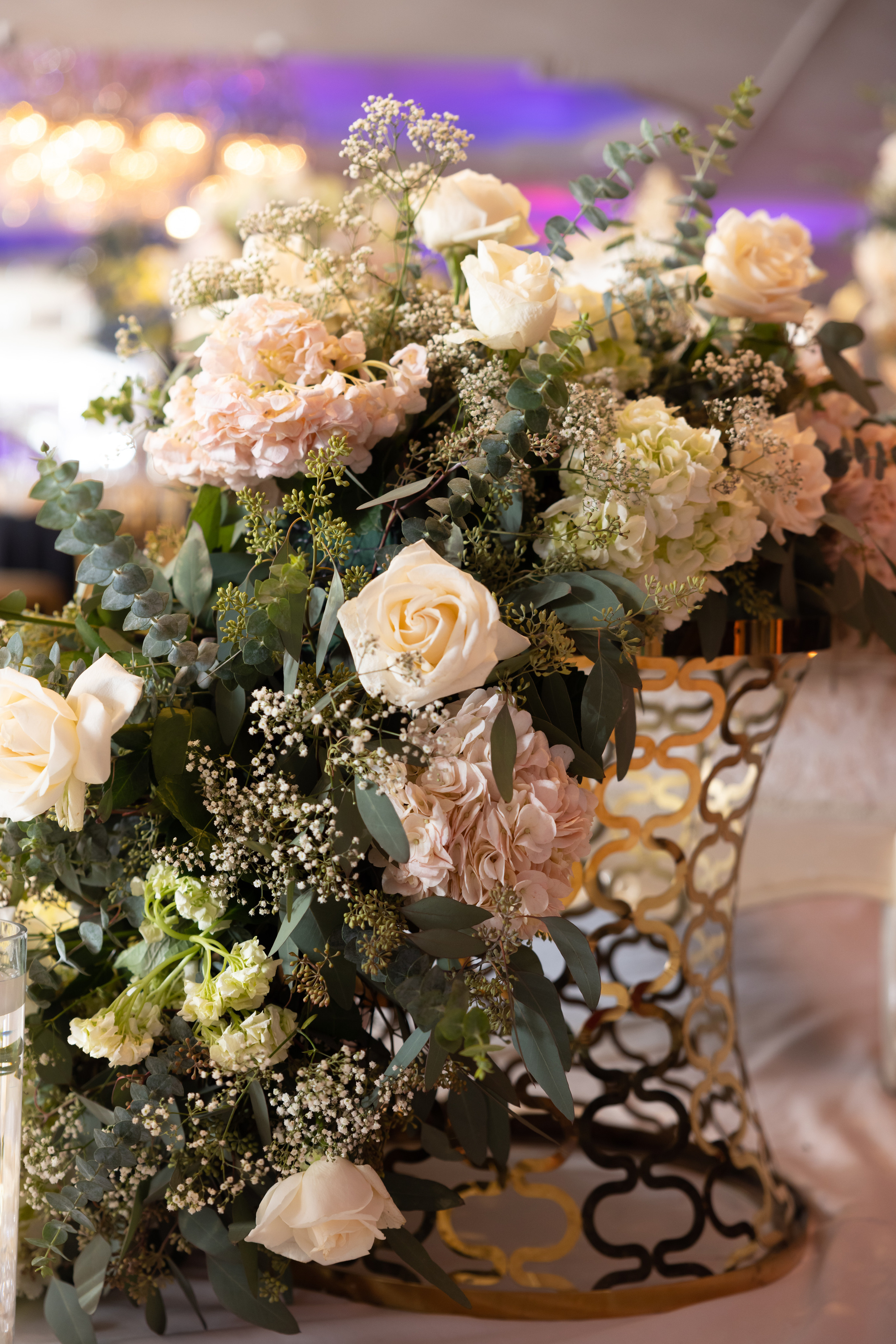 YASHVI & JENIL RECEPTION. Pittsburgh wedding and family photographer