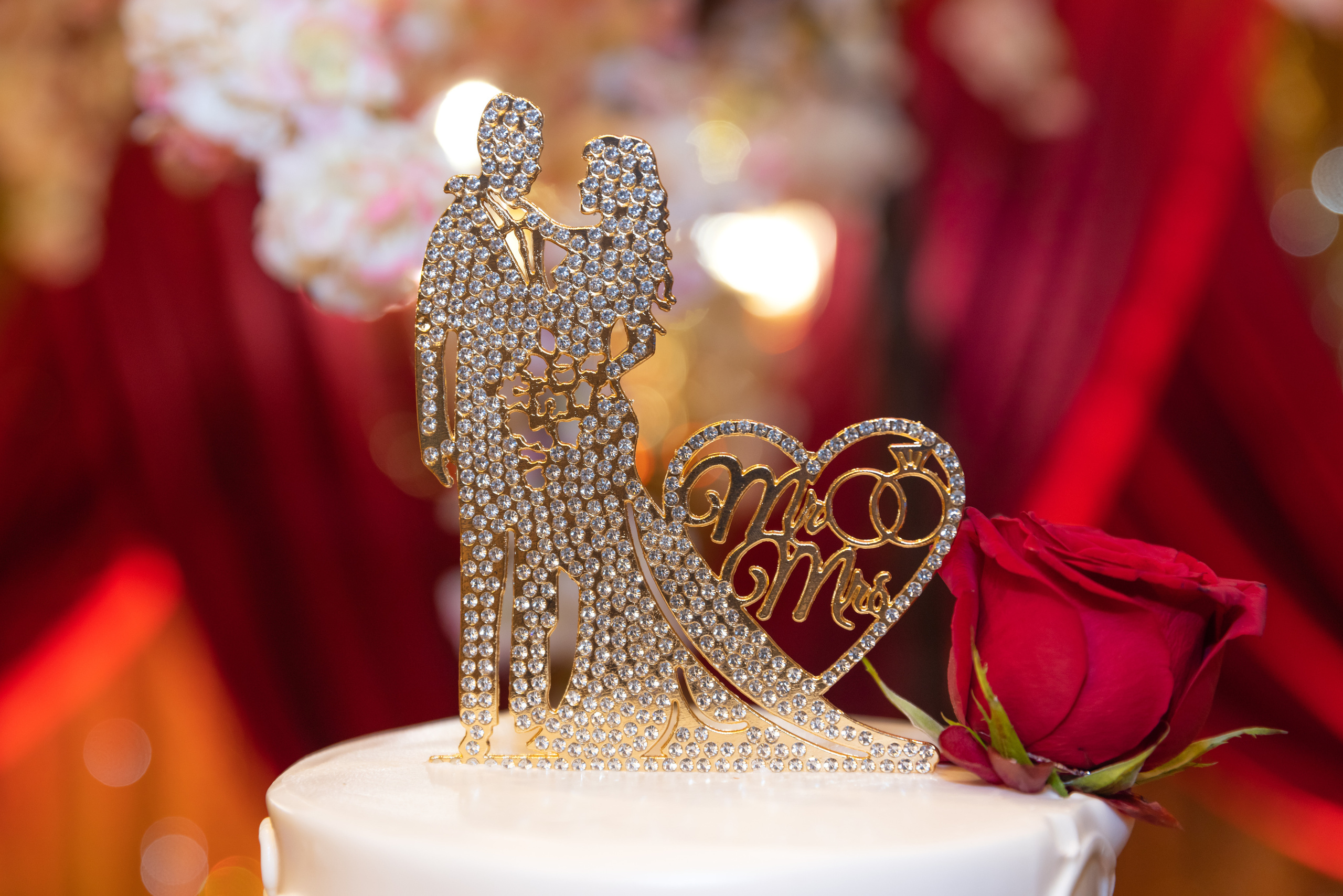 ROHAN & NIKITA RECEPTION. Pittsburgh wedding and family photographer