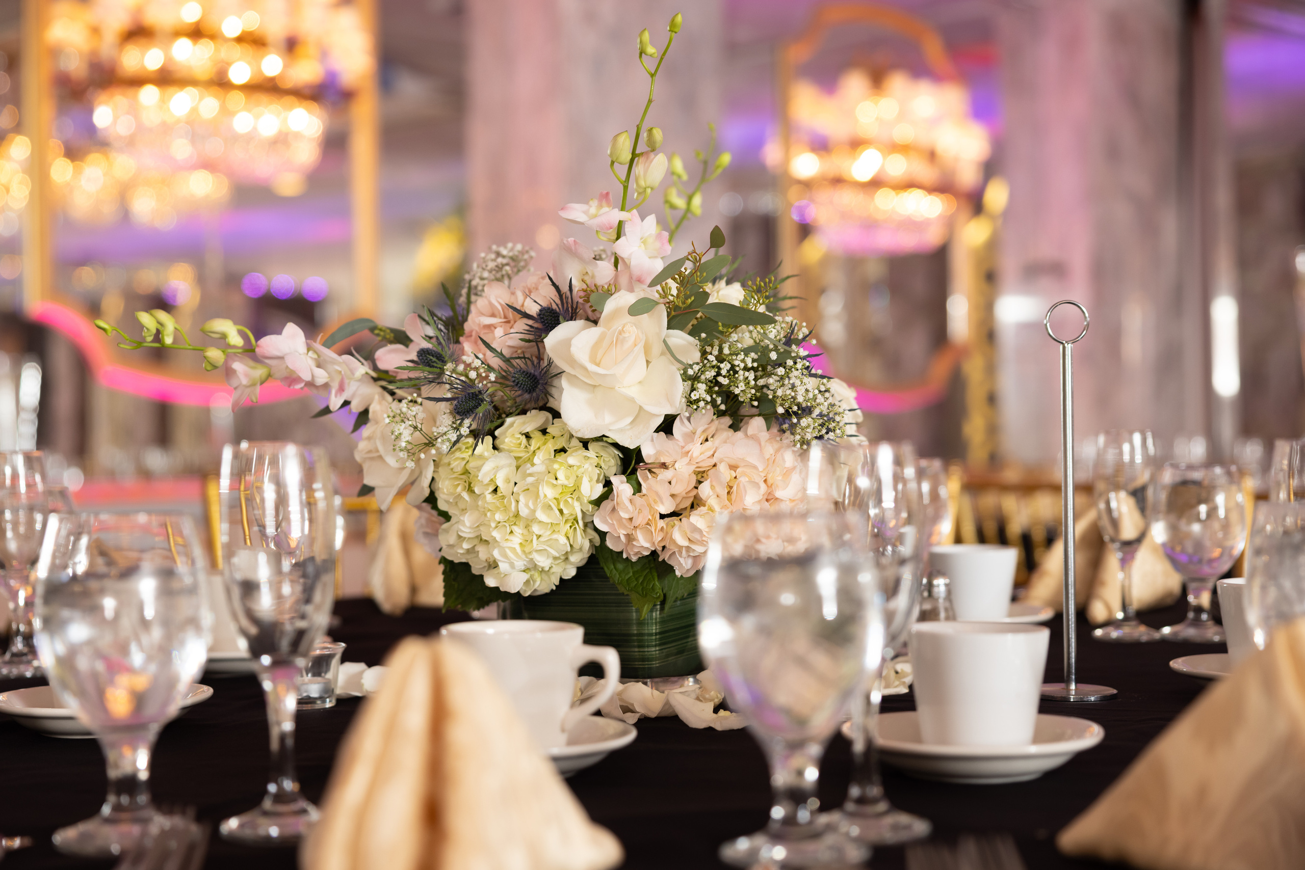 YASHVI & JENIL RECEPTION. Pittsburgh wedding and family photographer