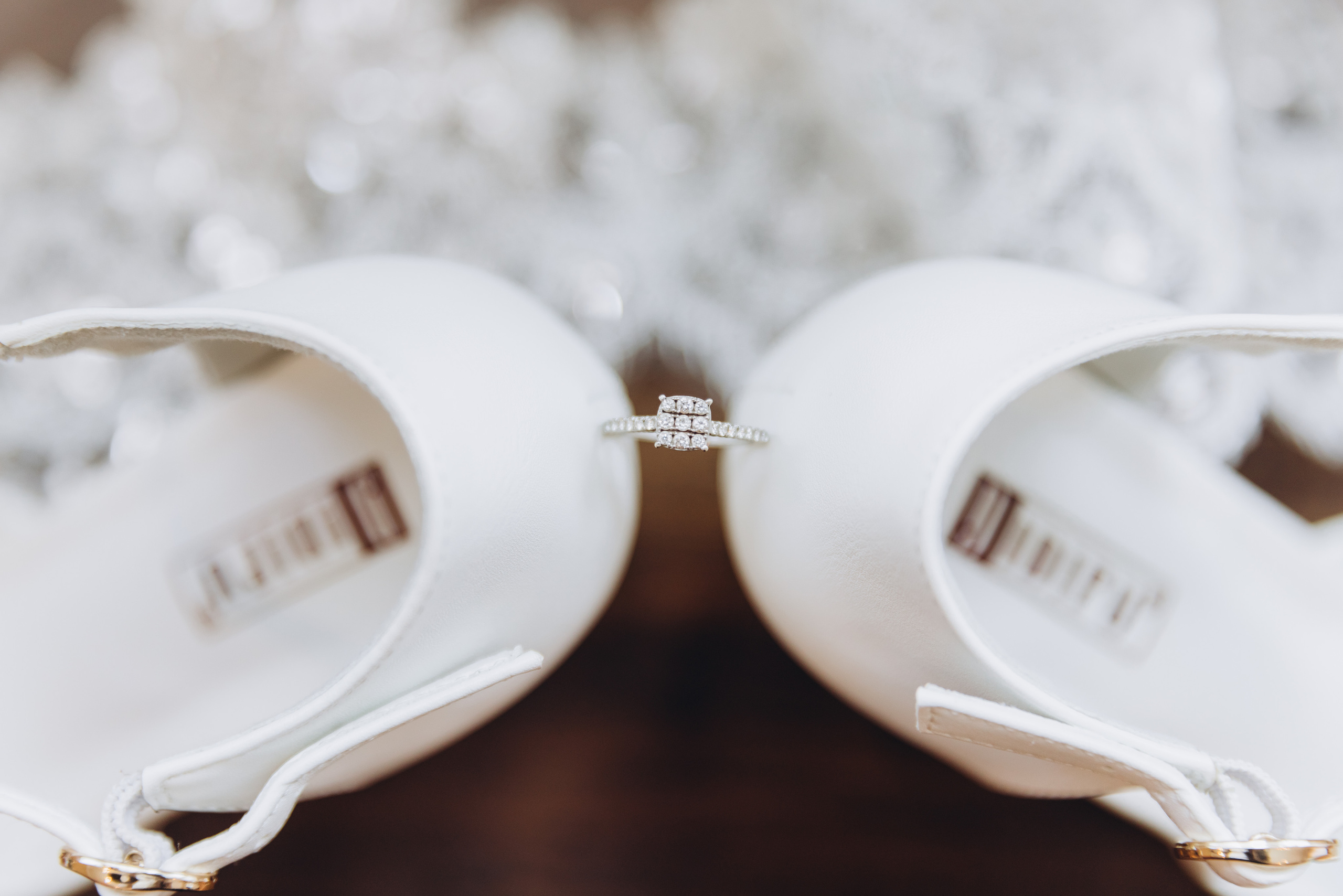 NIKITA & ROHAN. Pittsburgh wedding and family photographer