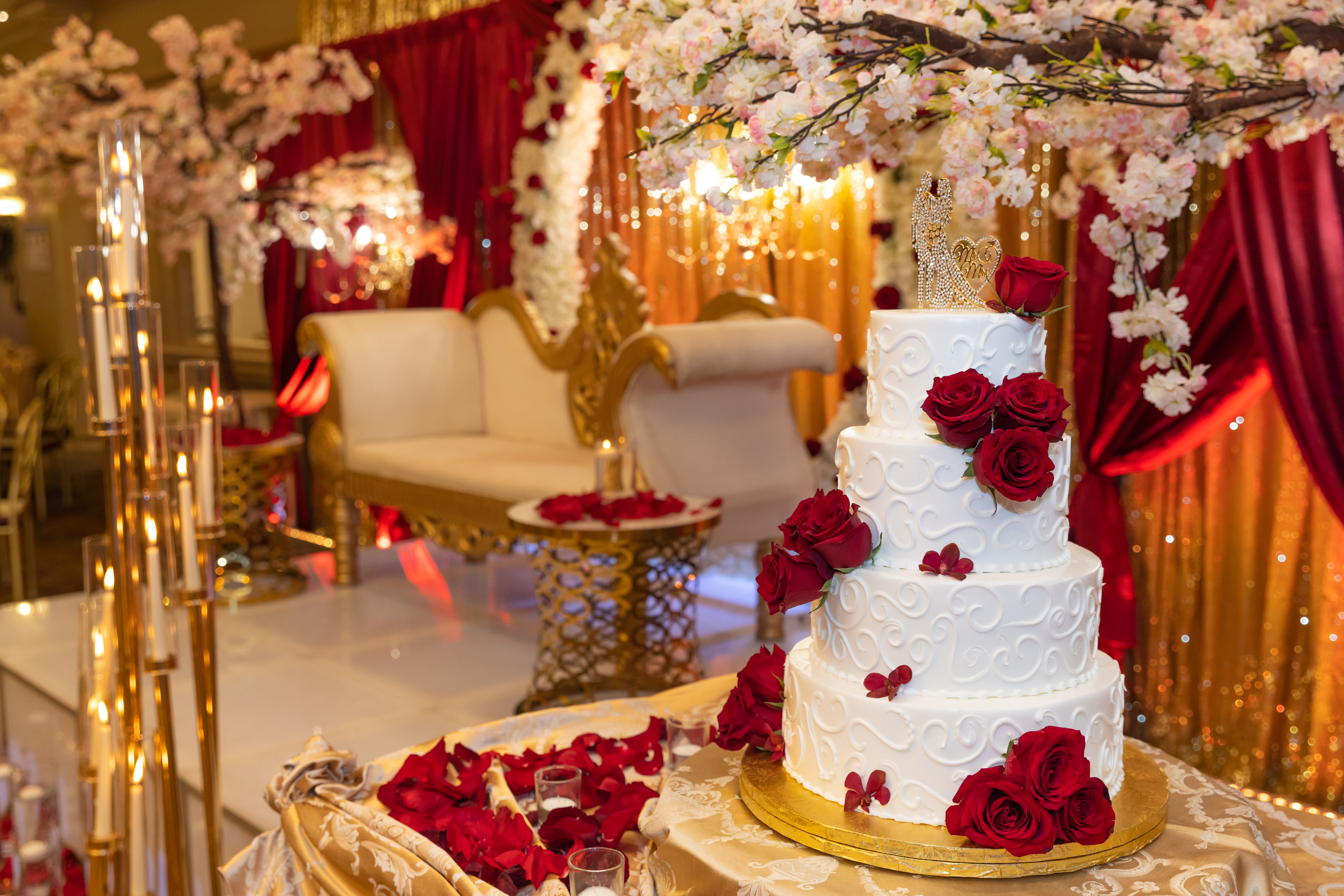 ROHAN & NIKITA RECEPTION. Pittsburgh wedding and family photographer