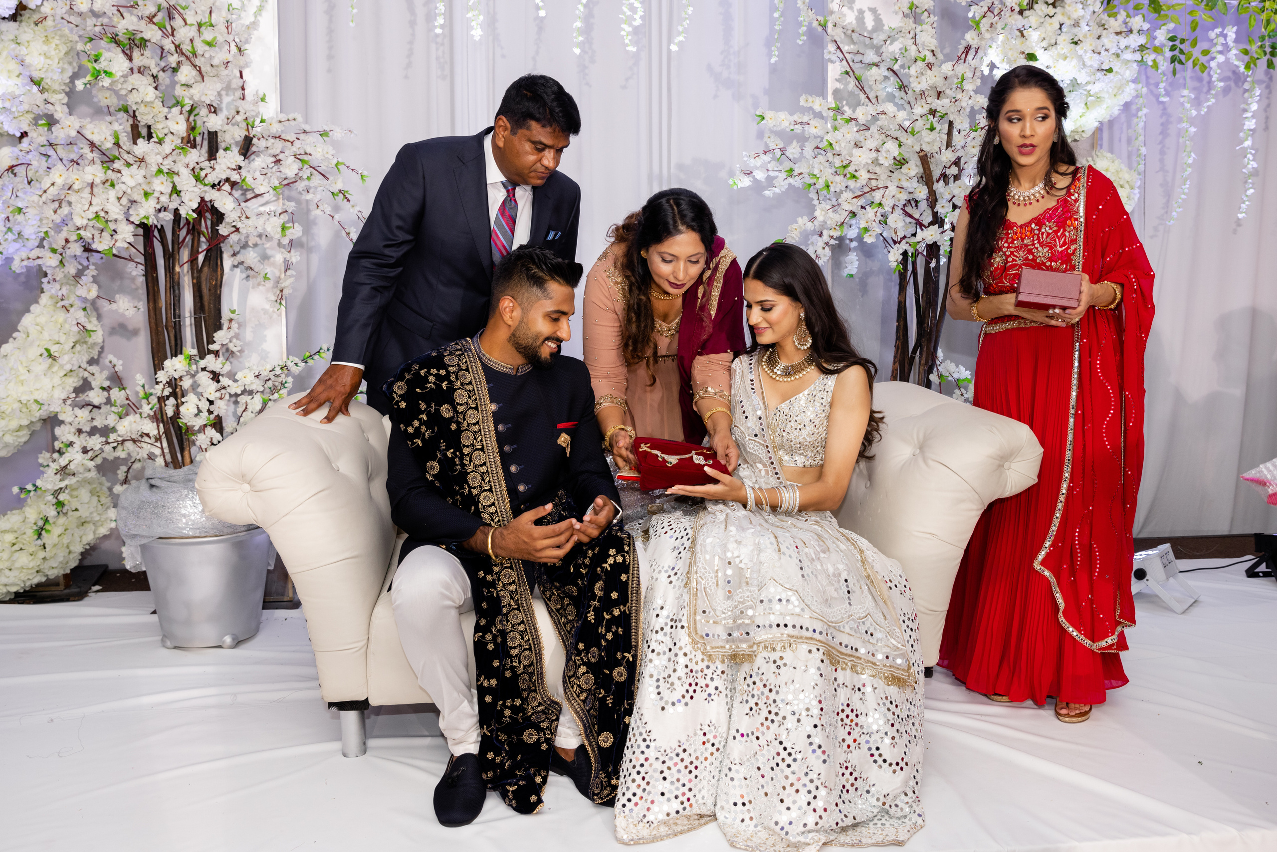 RAJAT & TOSHA ENGAGEMENT. Pittsburgh wedding and family photographer