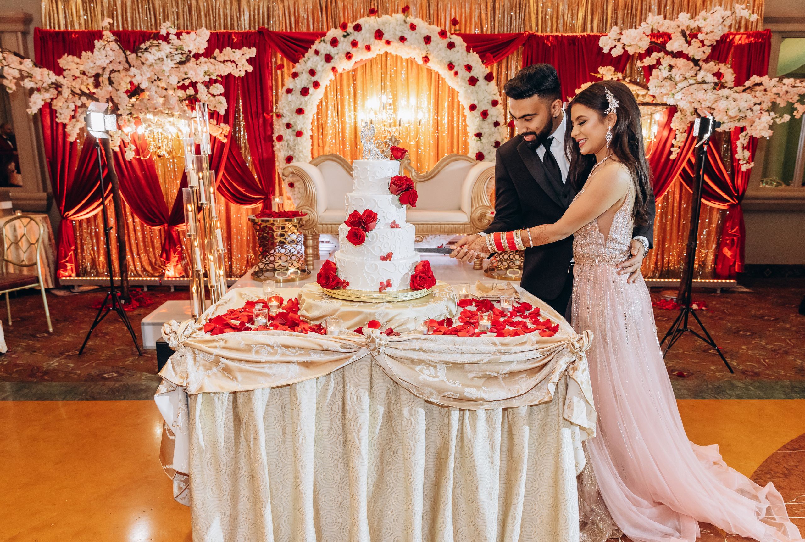 ROHAN & NIKITA RECEPTION. Pittsburgh wedding and family photographer