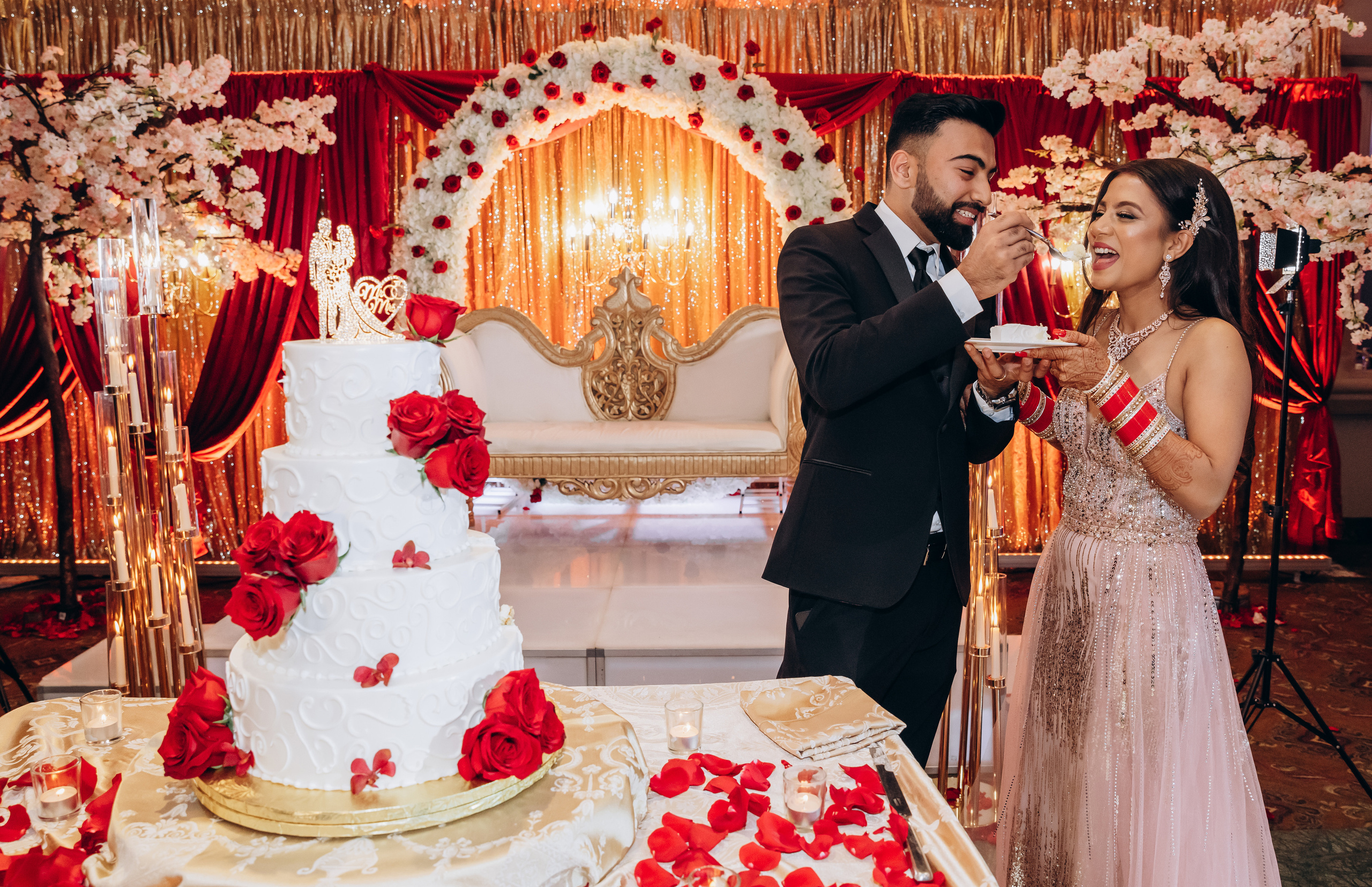 ROHAN & NIKITA RECEPTION. Pittsburgh wedding and family photographer