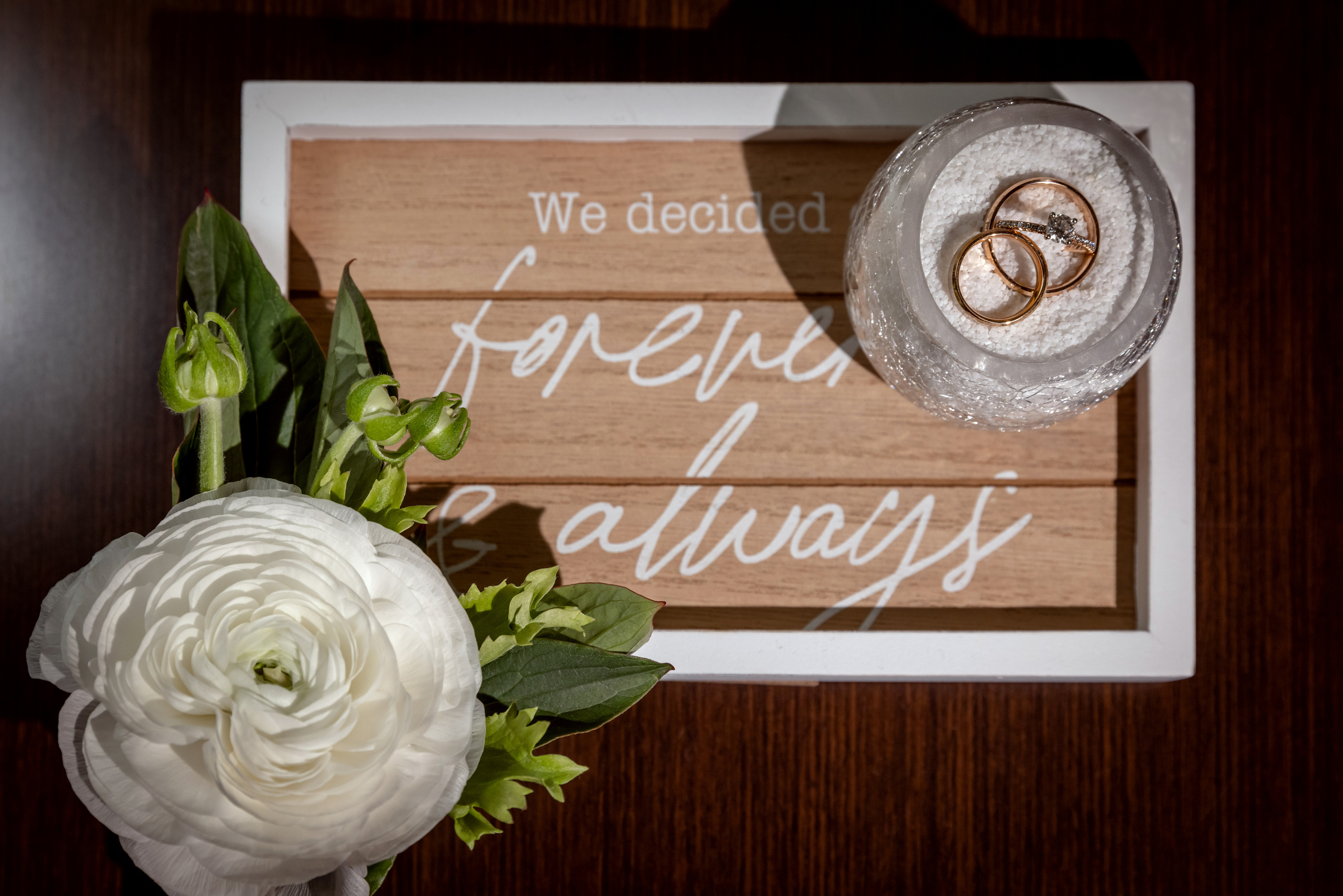 OLGA & VADYM. Pittsburgh wedding and family photographer