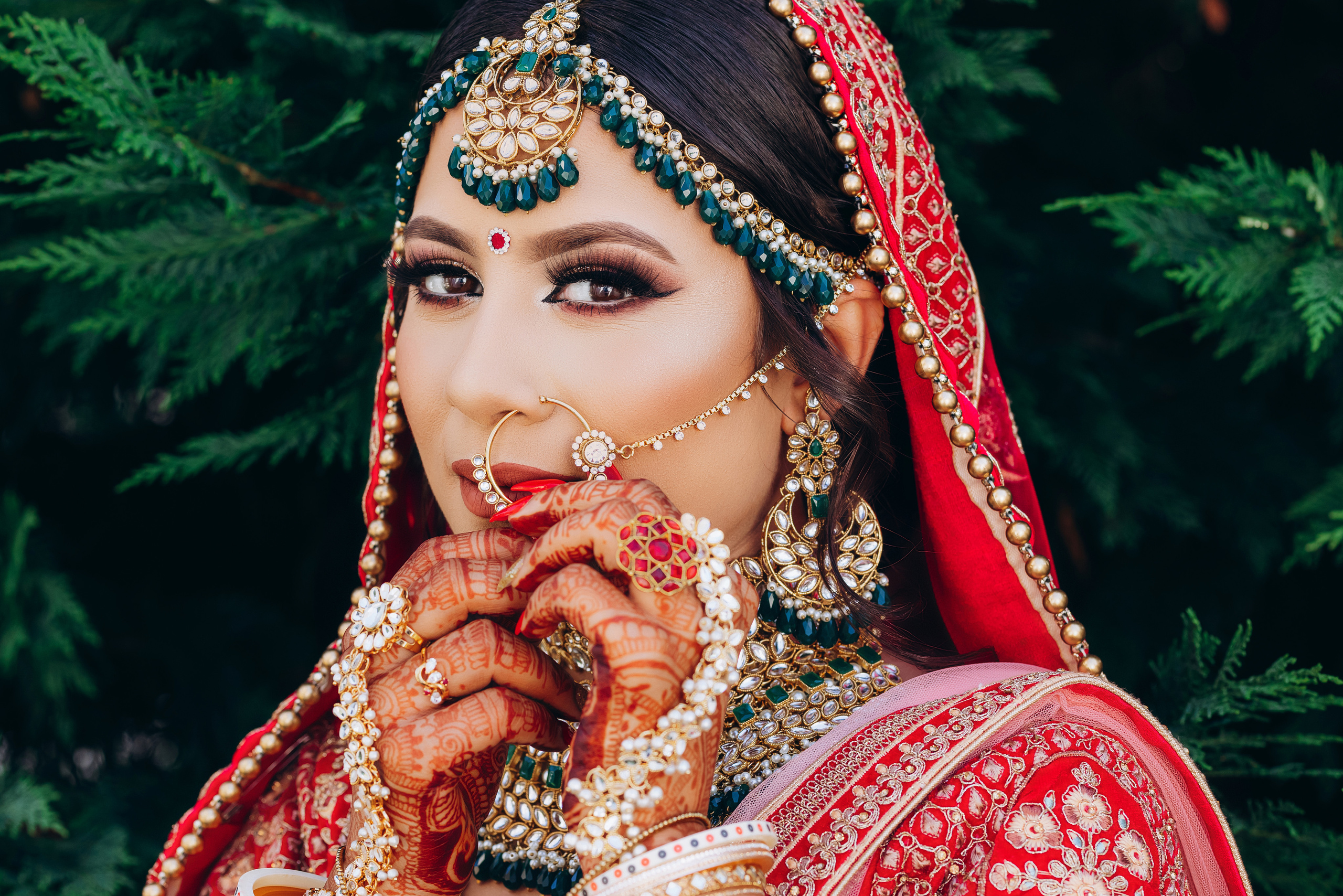 NIKITA & ROHAN HINDU. Pittsburgh wedding and family photographer