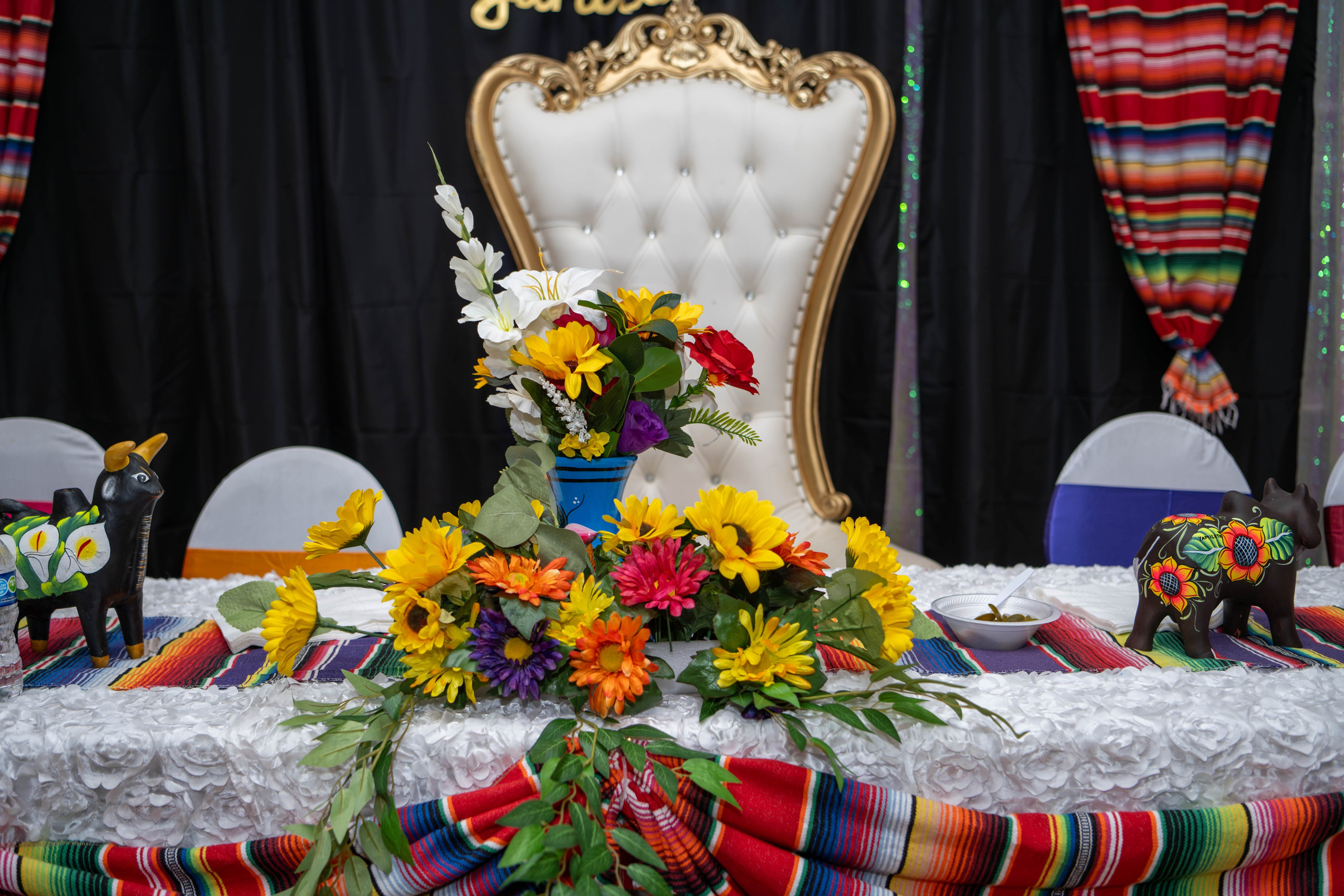 Mis XV. Fotografias Profecionales