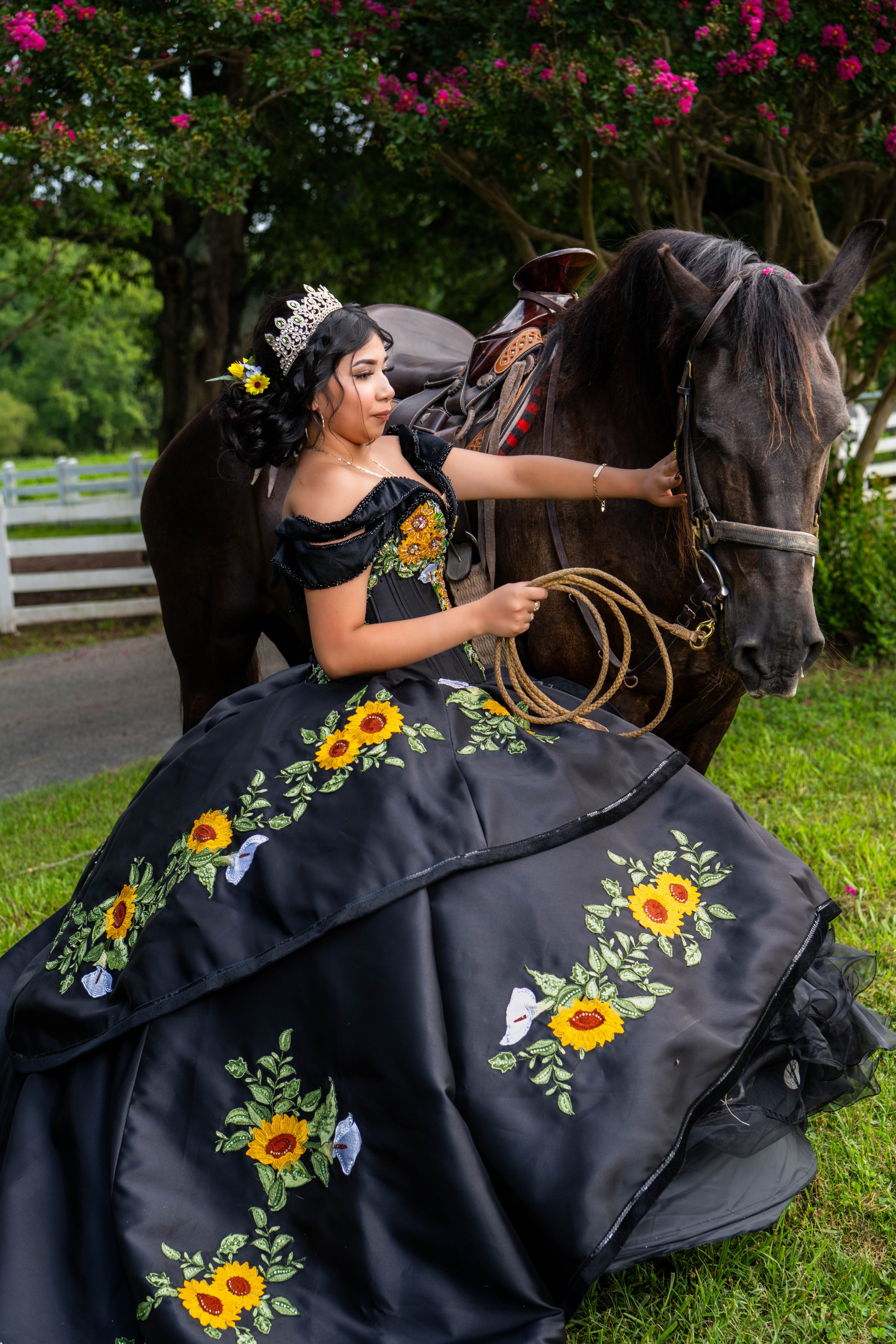 Servicios. Fotografias Profecionales