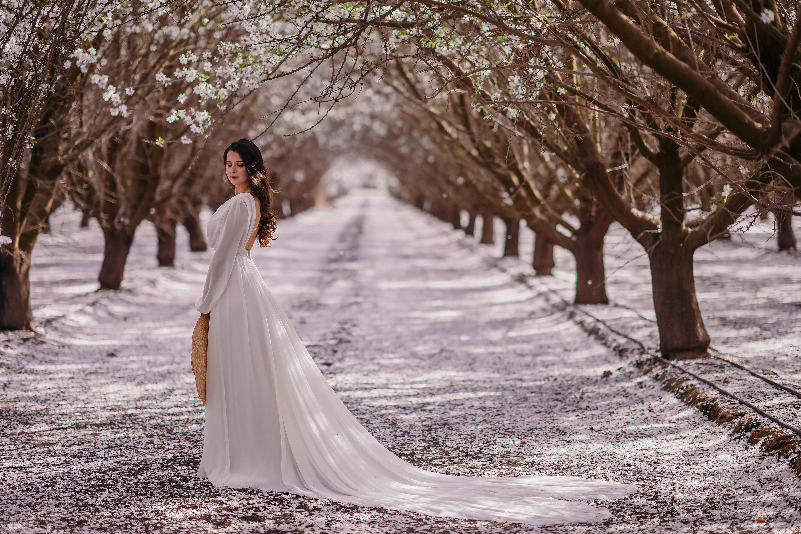 Proposal photographer in Charlotte. Wedding, maternity and family photographer in Charlotte Tasha Minn