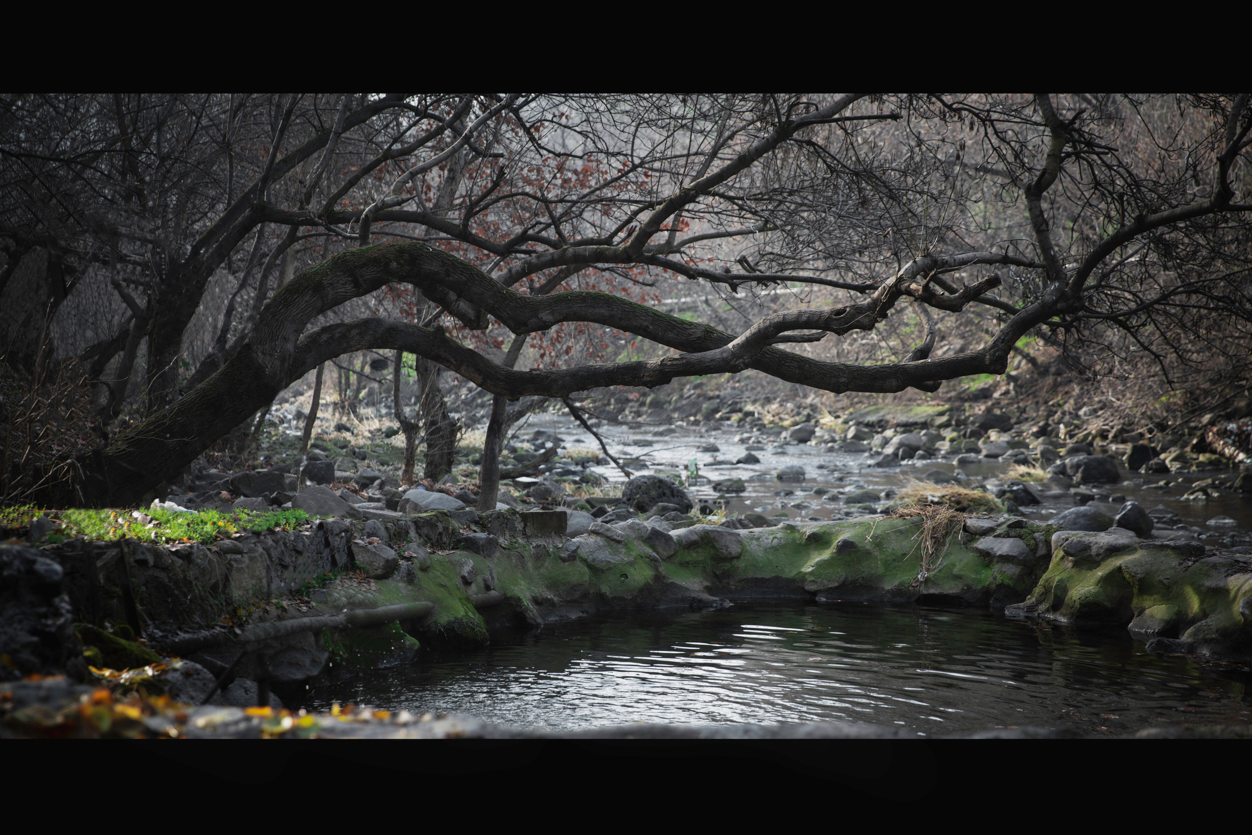 Landscape. Фотограф в Ереване Макс Авдалян