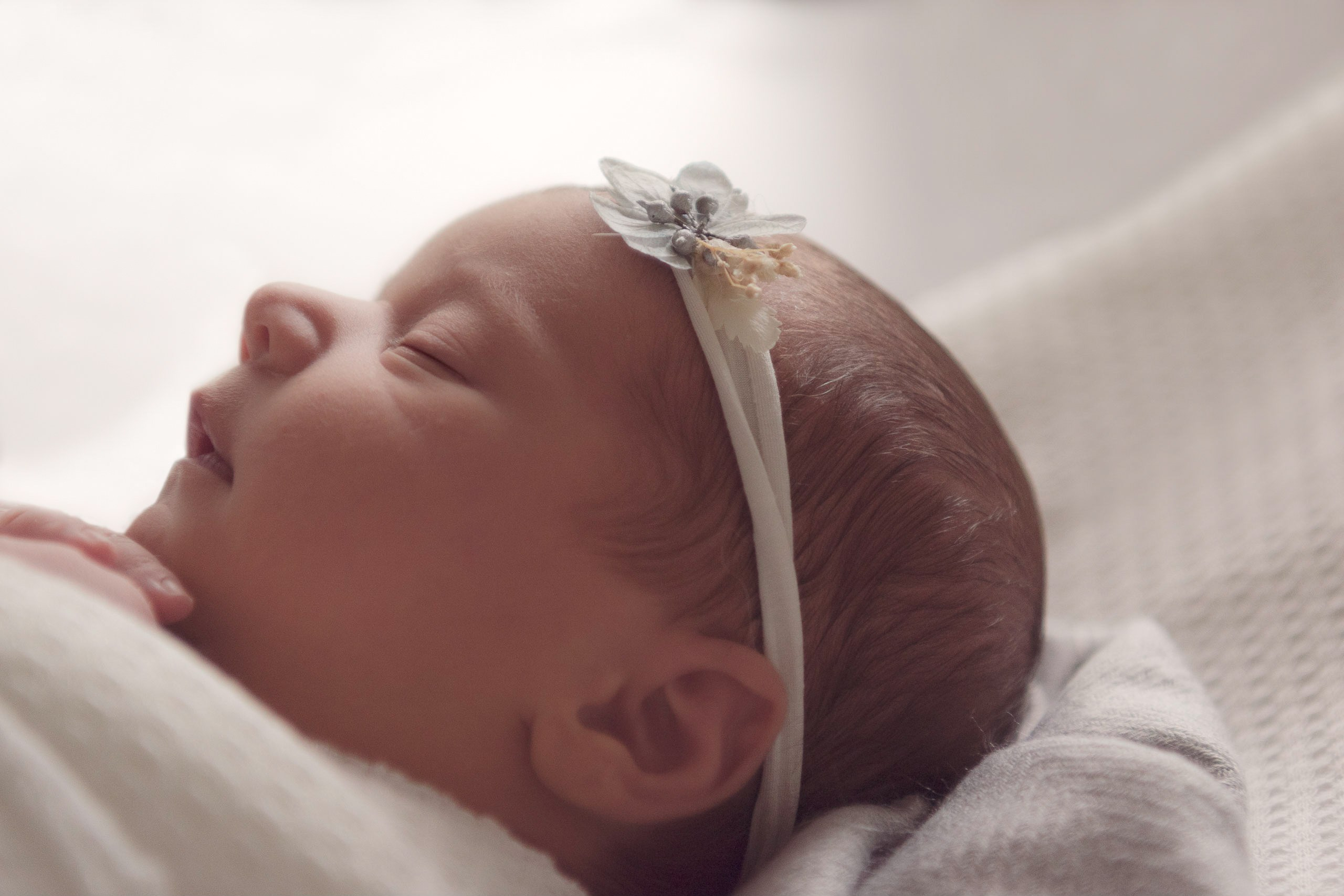 Daria. Maternity Newborn and Family photographer Hamburg Claire Hambley