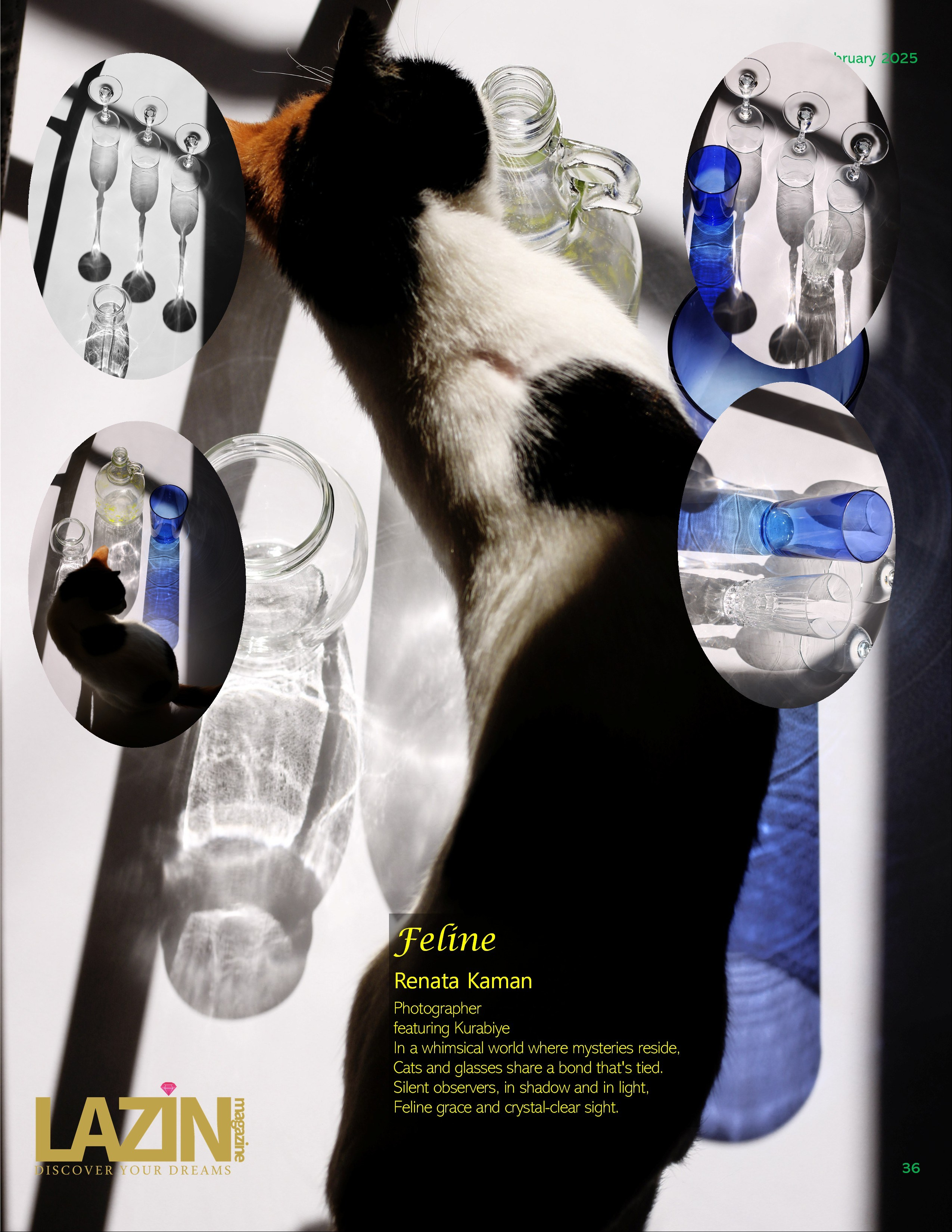 LAZIN. Fotoğrafçı Renata Kaman. Antalya