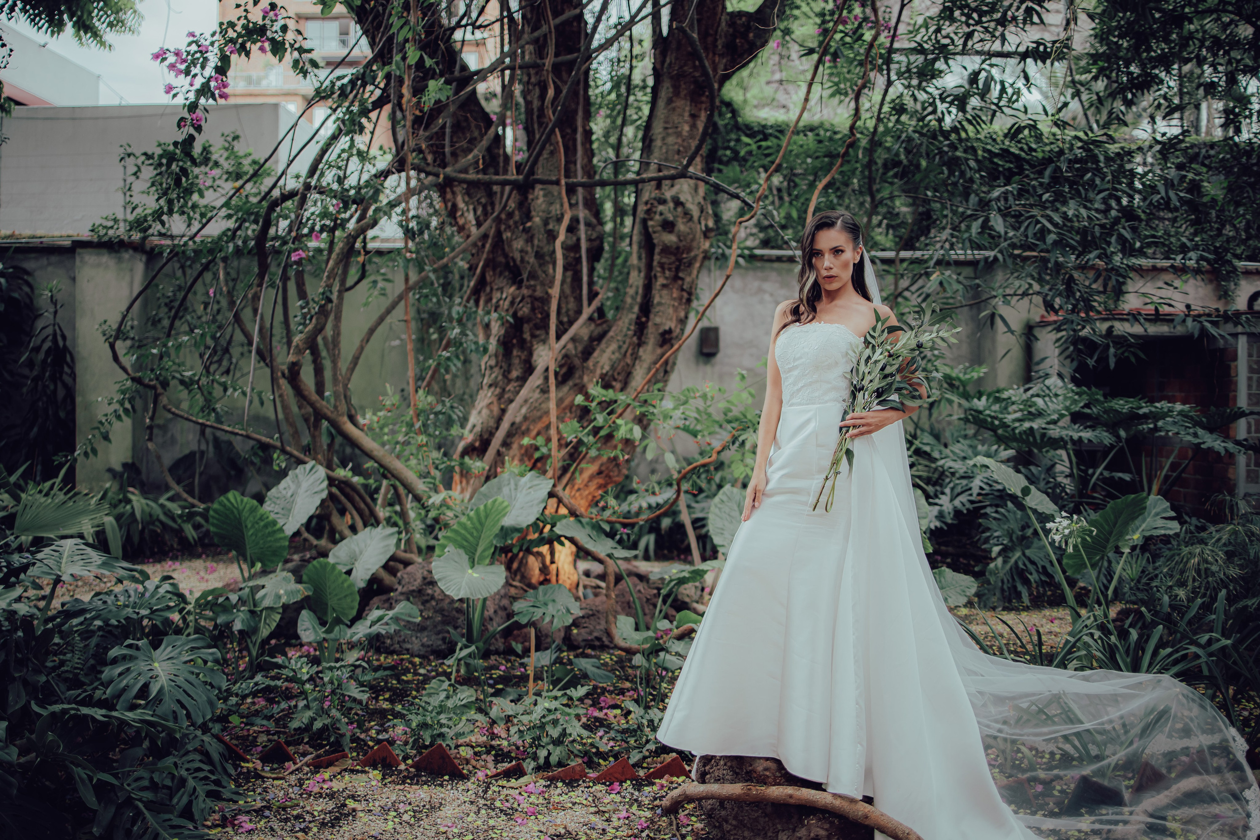 Alma. Fotógrafo Jorge Herrera
