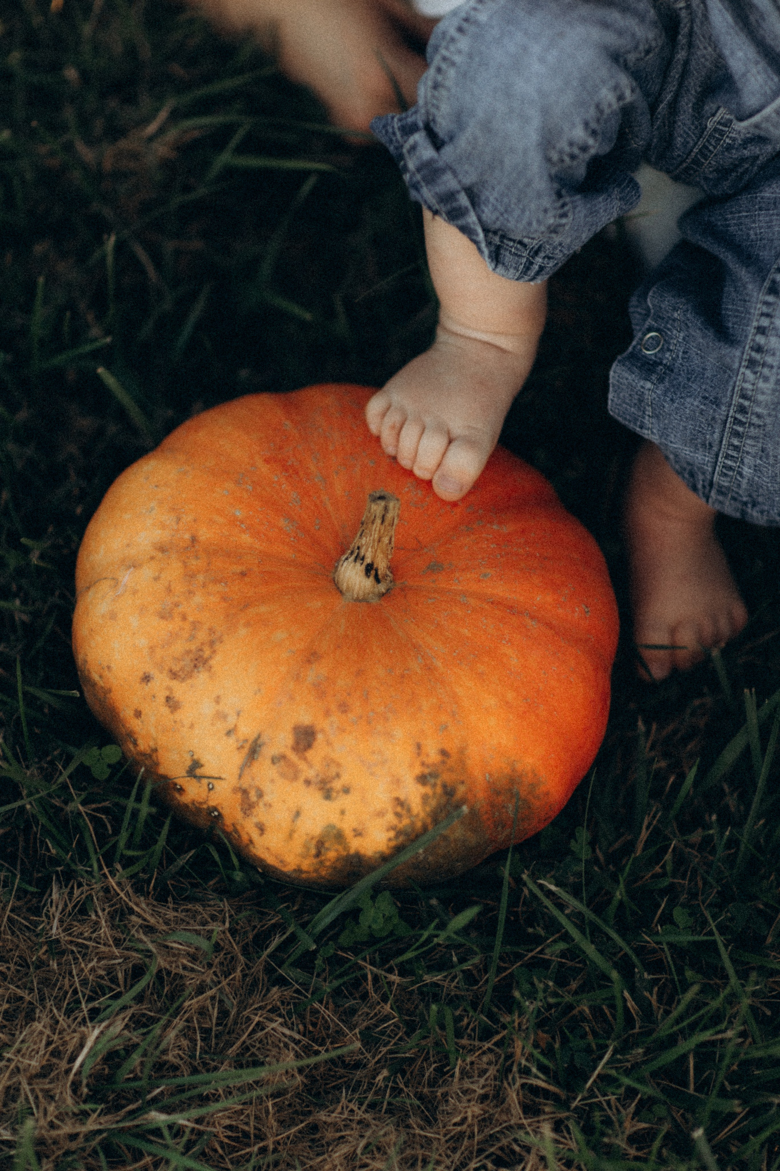 Genesis and her little Beau. CAPTURED BY SHANKS PHOTOGRAPHY