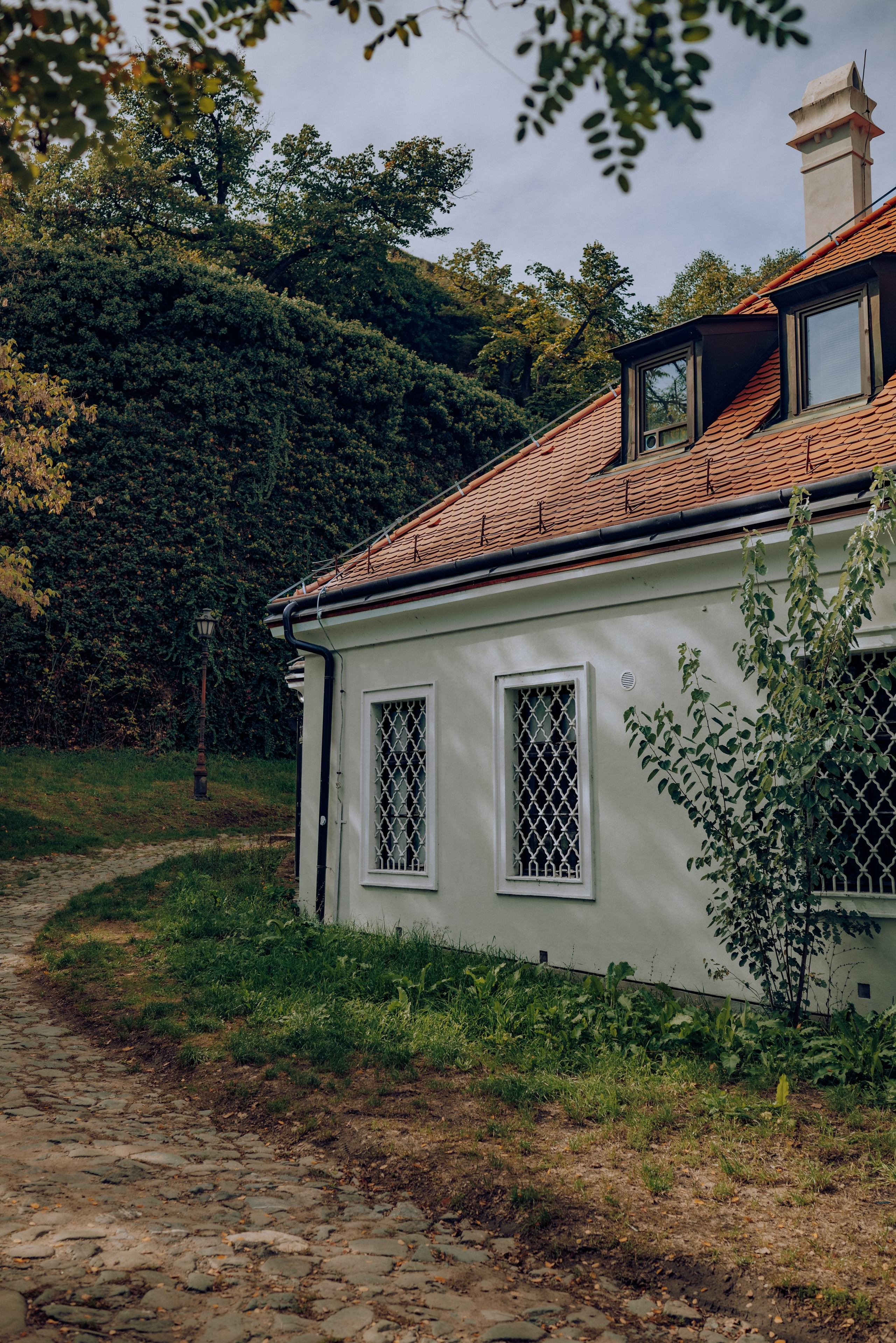 J.R.V. Семейный фотограф. Сербия. Нови-Сад. Белград