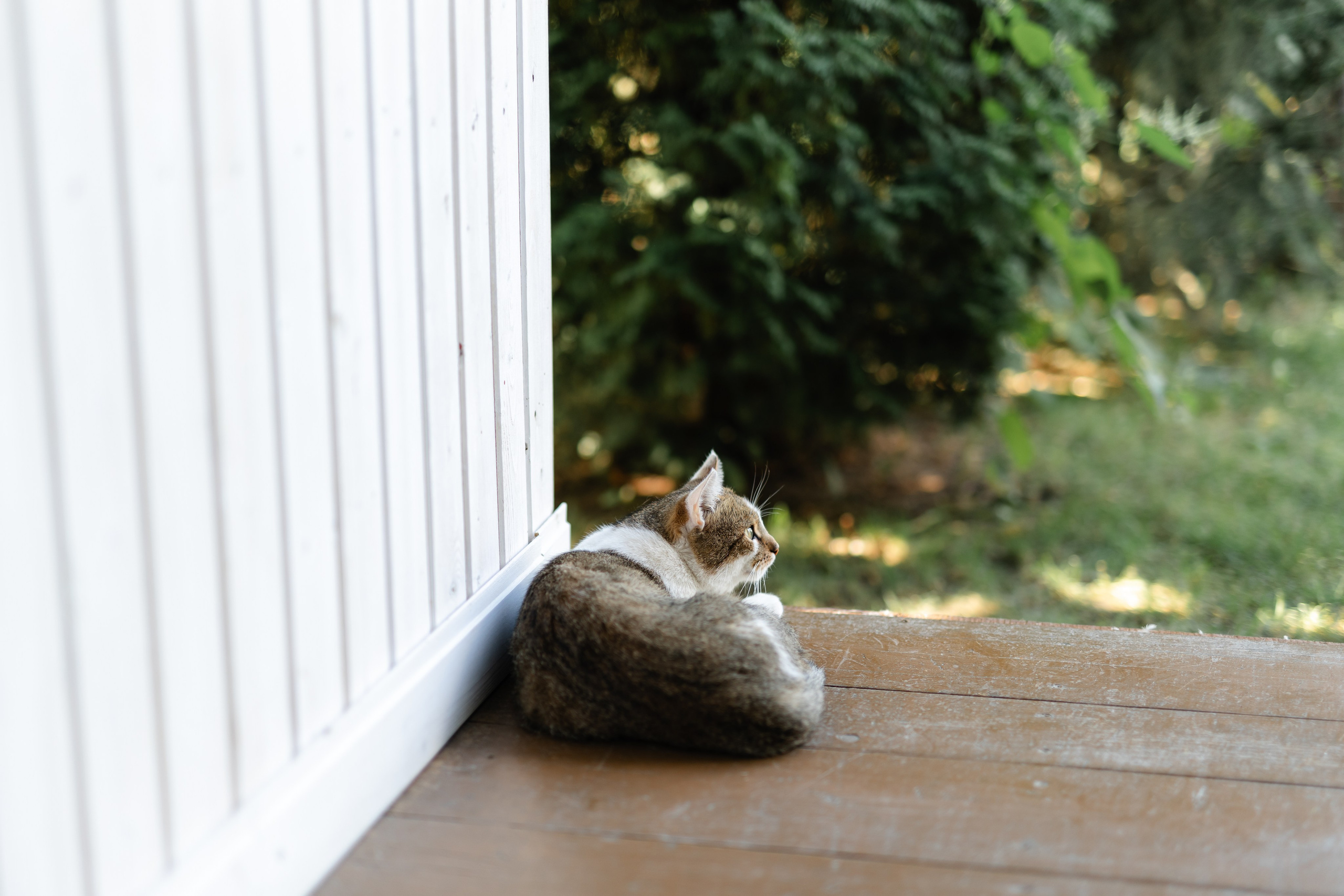 Natalia & Costin. Main