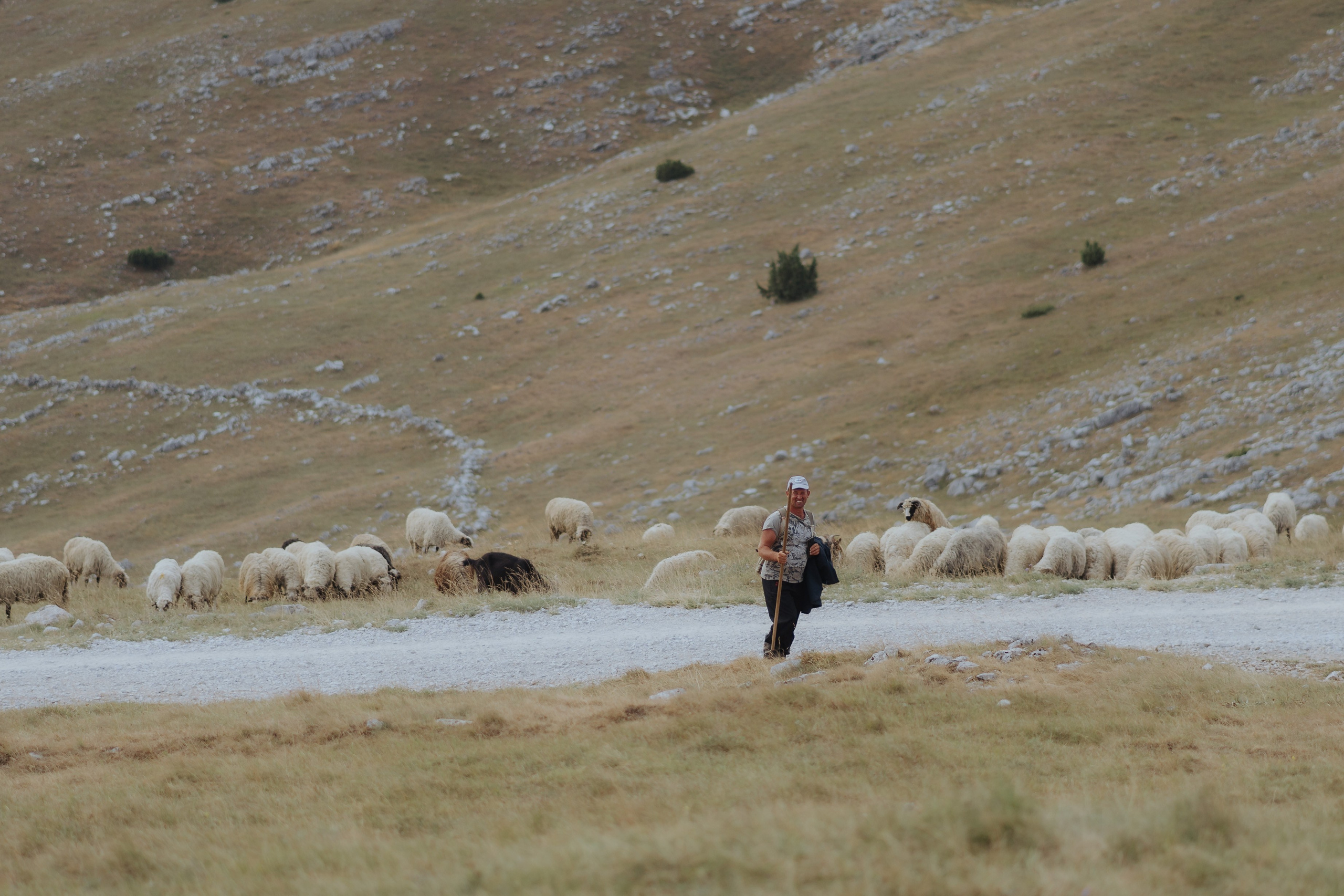 Alina & Adi ⎸ Sarajevo. Profesionalna Fotografija i Videografija | Sarajevo | yasinemir.com