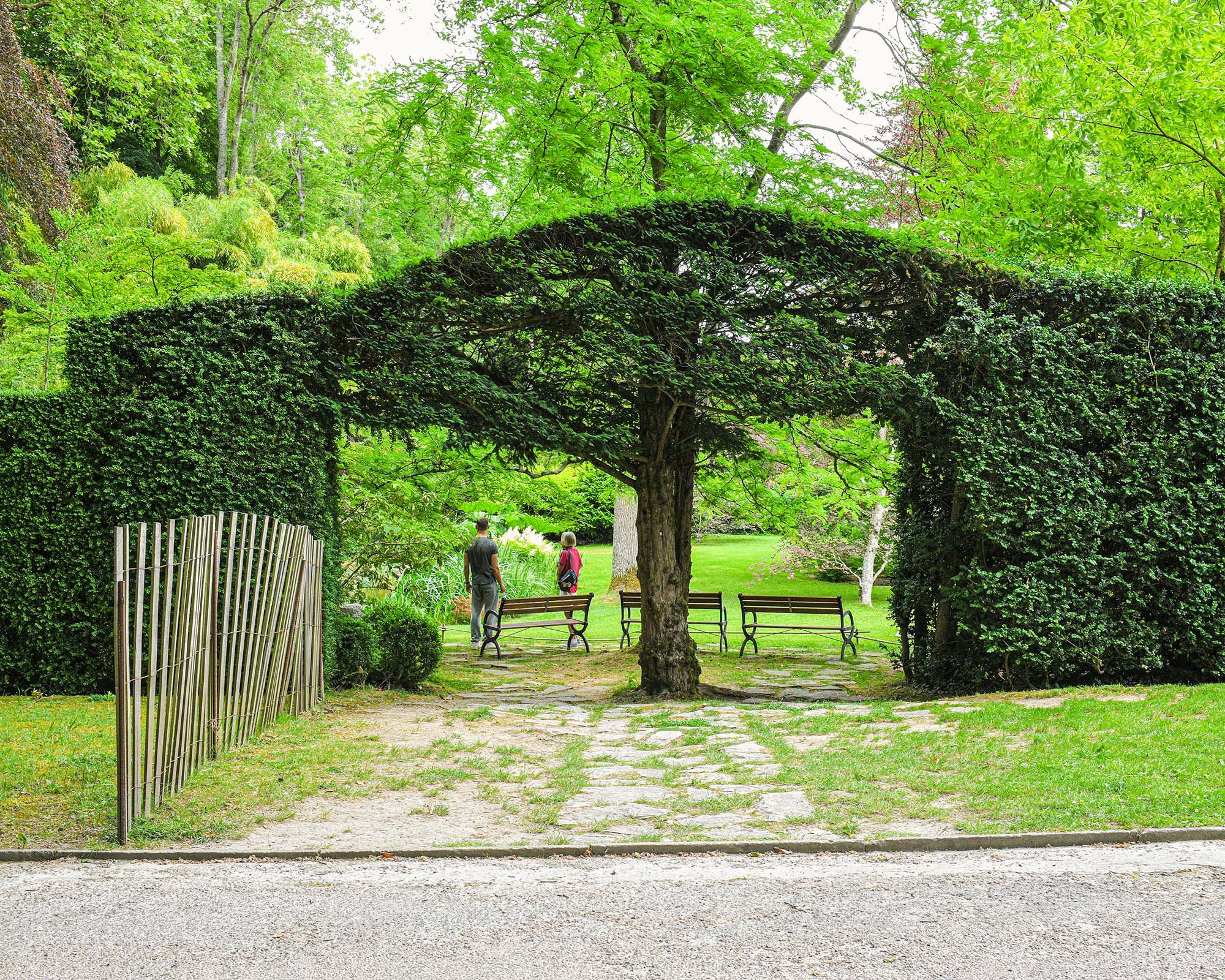 Living green archway in the gardens of Château de Courances, framing a peaceful pathway with benches and lush spring foliage
